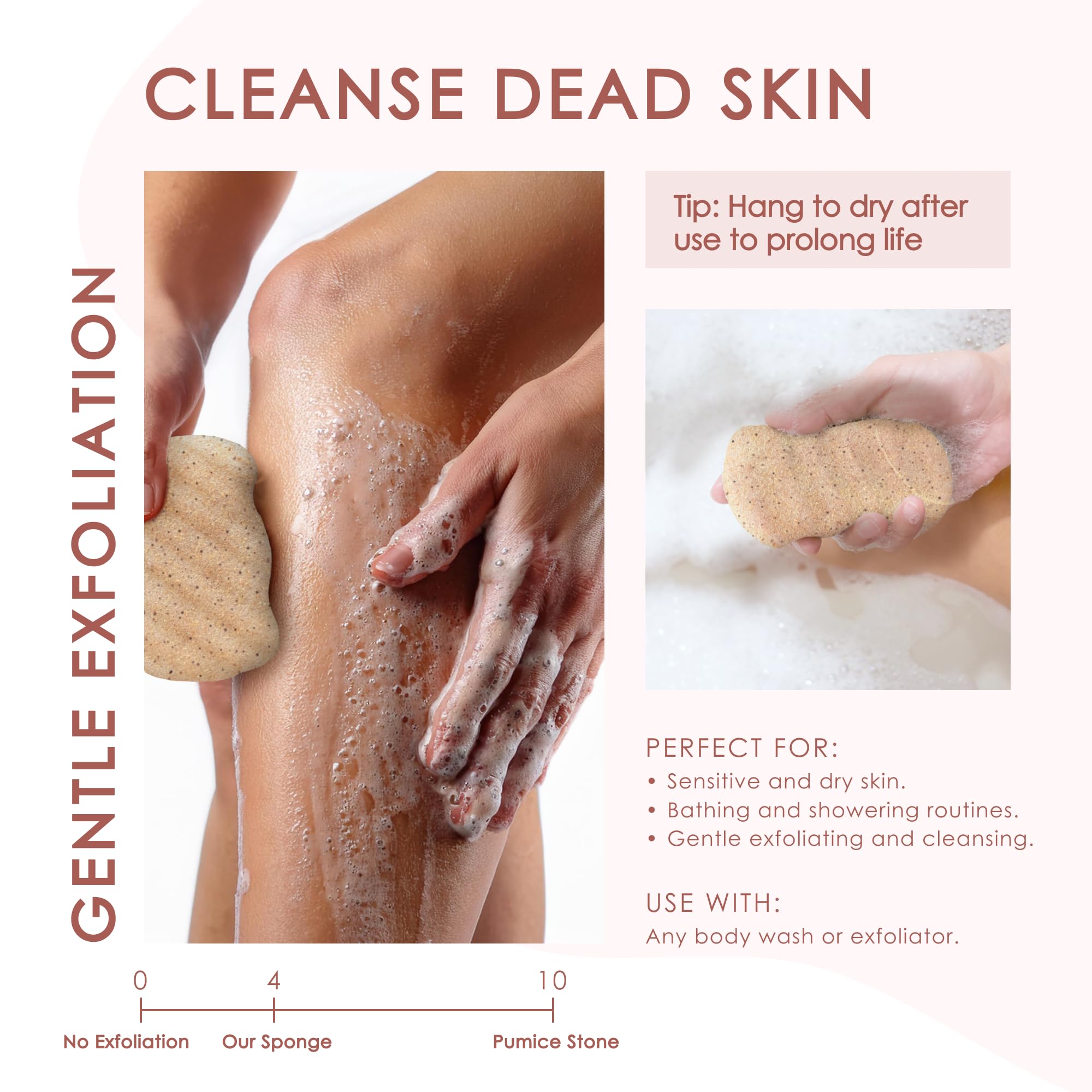 Konjac Body Sponge (2 Pack) Exfoliating Crushed Walnut | 100% Natural & Dye Free | Non-Toxic | Biodegradable | Eco-Friendly | Plastic Free Packaging