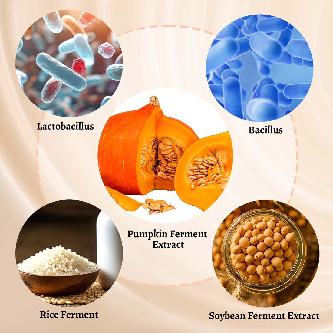 Daily UV Defense Sunscreen, SPF 50 PA++++,Korean Sunscreen Invisible,Hydrating, Soothing, No white-cast for All Skin Types (50ml)