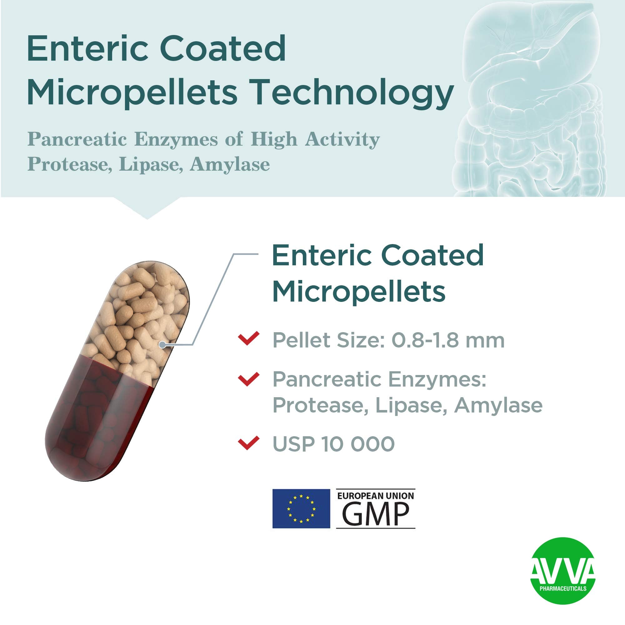 Micrazym AVVA Pharm Pancreatic Enzymes - 10,000 USP Effective Pancreatic Enzyme Supplements - Digestive Enzymes for Digestion - 50 Fast-Acting Capsules with Amylase, Lipase and Protease