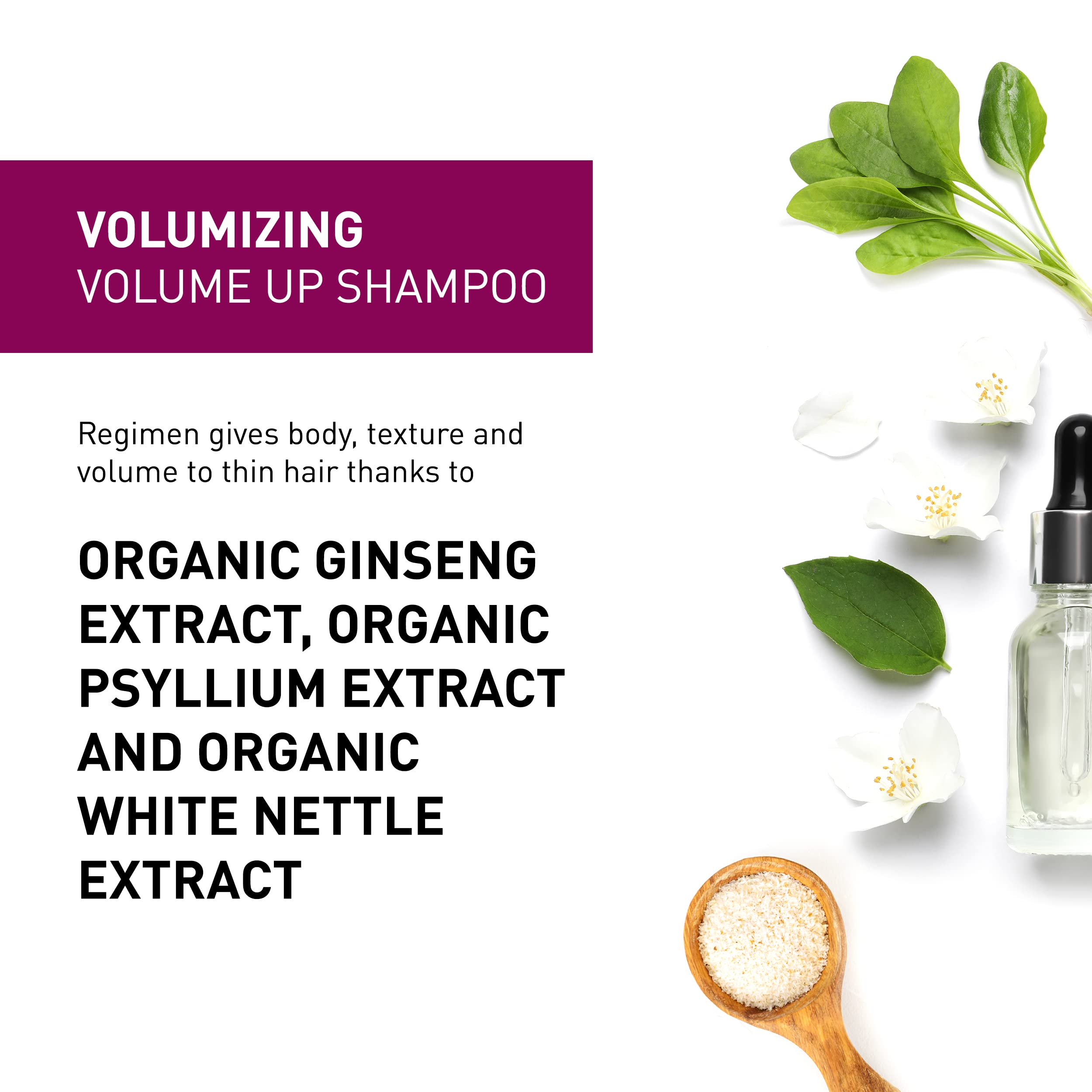 Insight Clean Beauty Volume Up Shampoo for Softer Hair Organic Ginseng Extract, Vegan, 13.5 fl oz