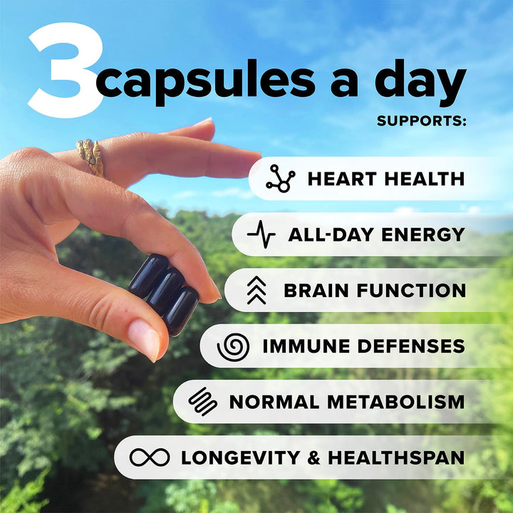 Complement Essential Vegan Multivitamin for Women & Men (30 Servings, 90 Capsules) Omega 3 DHA+EPA, B12, Vitamin D3 K2, Zinc, Selenium, Magnesium, Iodine Supplement - Immune Support