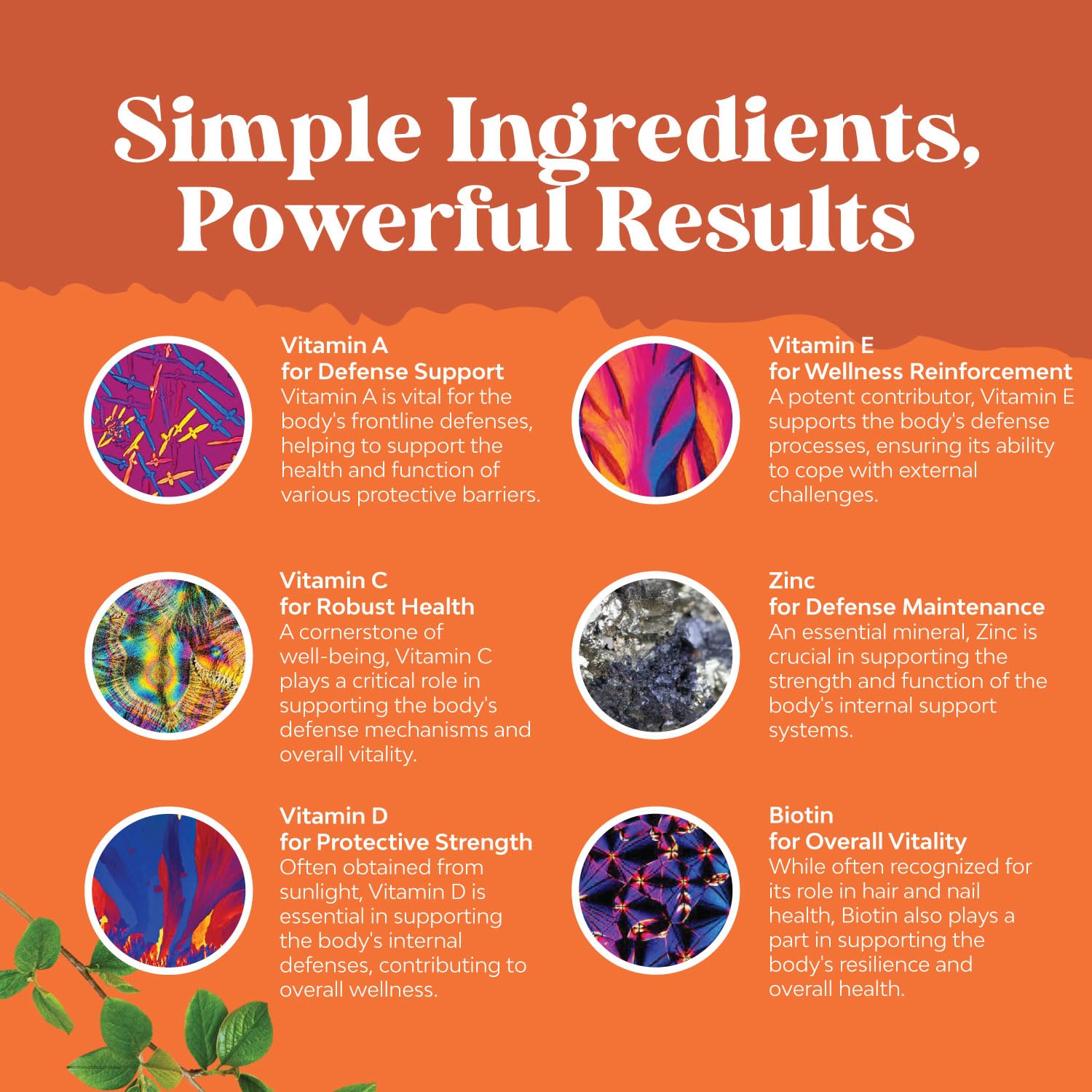 Multivitamin Gummies for Adults - Halal Multivitamin Gummy with B12 Biotin - Gelatin-Free Gummy Multivitamins for Men & Women - Vitamin Gummies with Zinc & Vitamin D - Non-GMO Gluten-Free - 90 Count