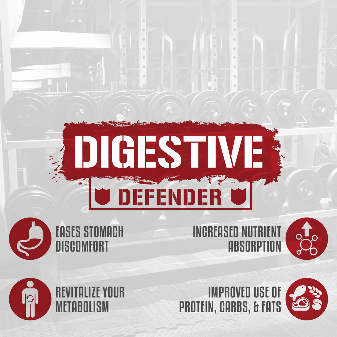 5% Nutrition Rich Piana Digestive Enzymes w/Vitamin B Complex | Enzymes for Protein, Carb, Fat, Fiber & Lactose Breakdown | Betaine, Bromelain, Papain (Papaya), Lipase, Lactase, 60 Veg Caps (30 Svgs)