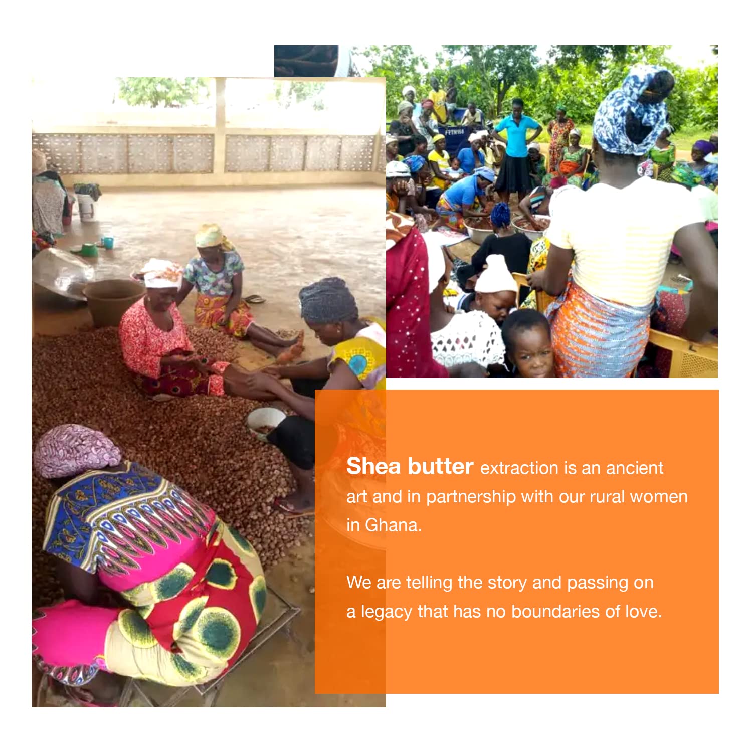 STAR CARE 100% Virgin Shea Nut Butter No Color No Perfume (1oz)