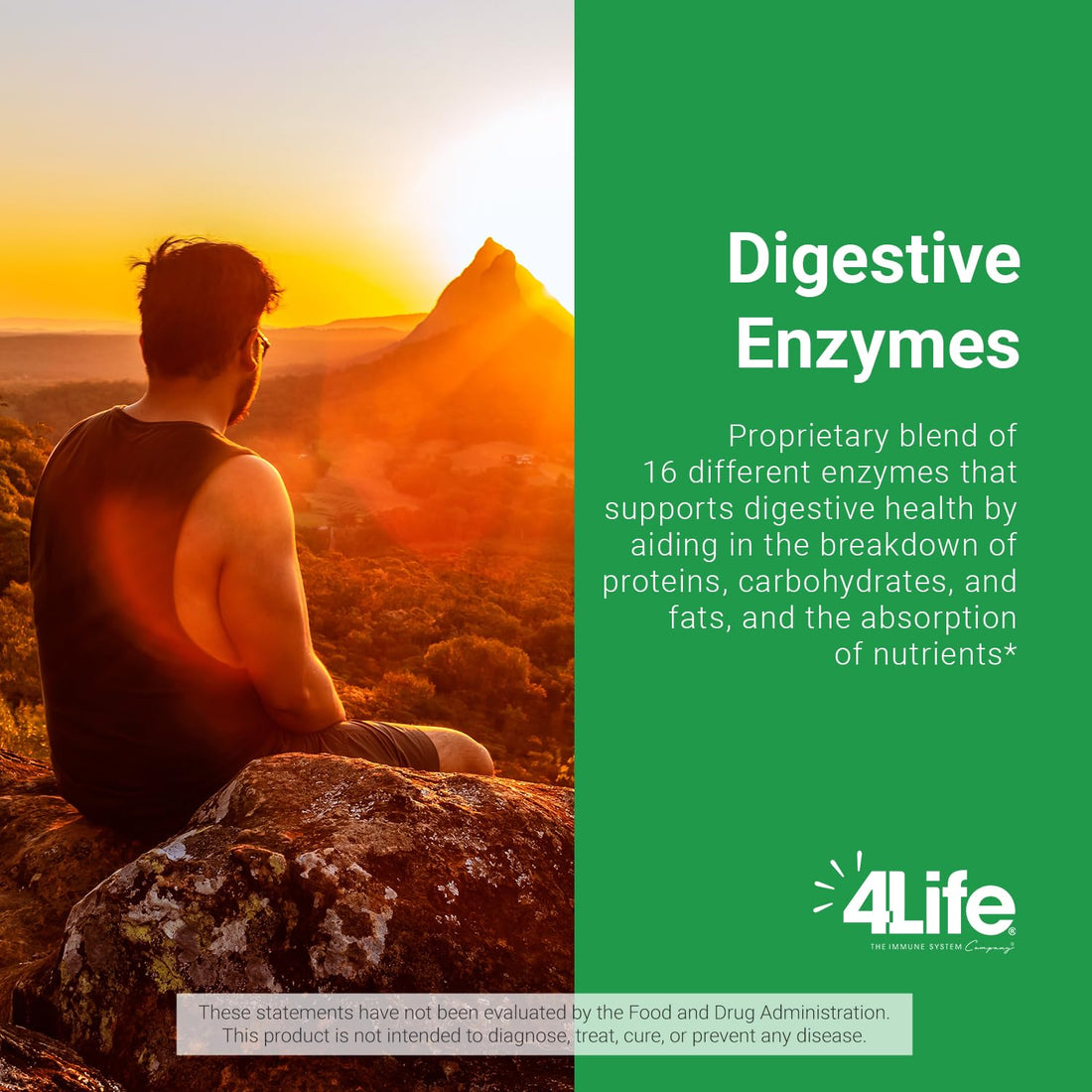 4Life Digestive Enzymes - Supports Digestive and Intestinal Health, Food Absorption, and Breakdown of Protein, Carbohydrates, and Fats - 90 Capsules