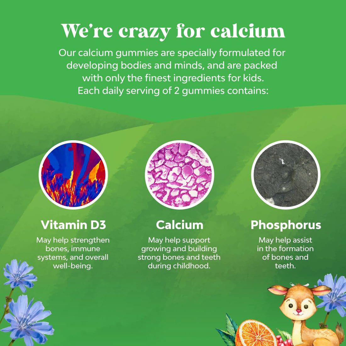Natures Craft Tasty Kids Calcium Gummies - Vitamin D & Calcium Gummies for Children - Vitamin with & D for Muscle Bone Development Gelatin-Free Kosher Childrens 60ct (1 Pack)