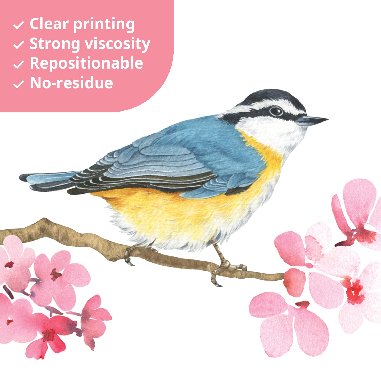 DECOWALL DS4-8039 Cherry Blossom & Garden Birds Kids Wall Stickers Wall Decals Peel and Stick Removable Wall Stickers for Kids Nursery Bedroom Living Room (Small) dcor