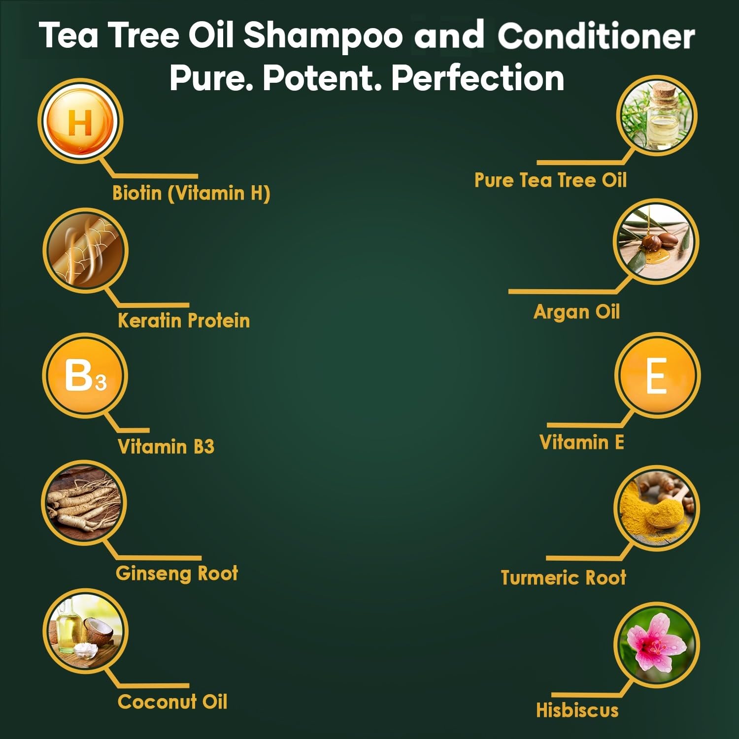 Tea Tree Shampoo and Conditioner Set - Deep Cleansing, Strengthening and Shine-Boosting Formula for Dry Scalp - For Men & Women - 16 fl oz each