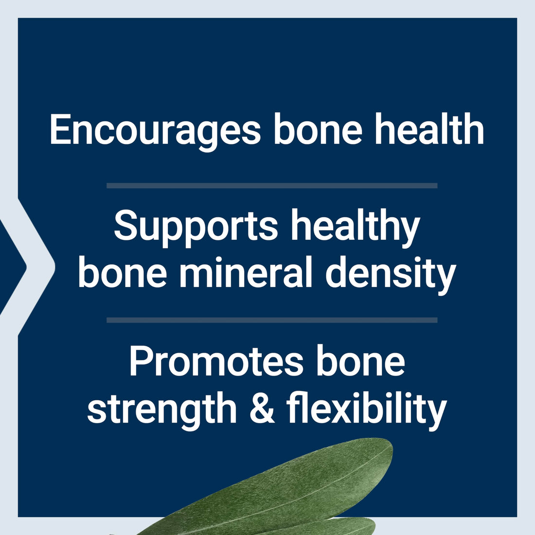Life Extension Bone Strength Collagen Formula, Calcium Collagen chelate, Calcium fructoborate, Vitamin D3, Magnesium Citrate, Silicon, Boron, Gluten-Free, Non-GMO, 120 Capsules