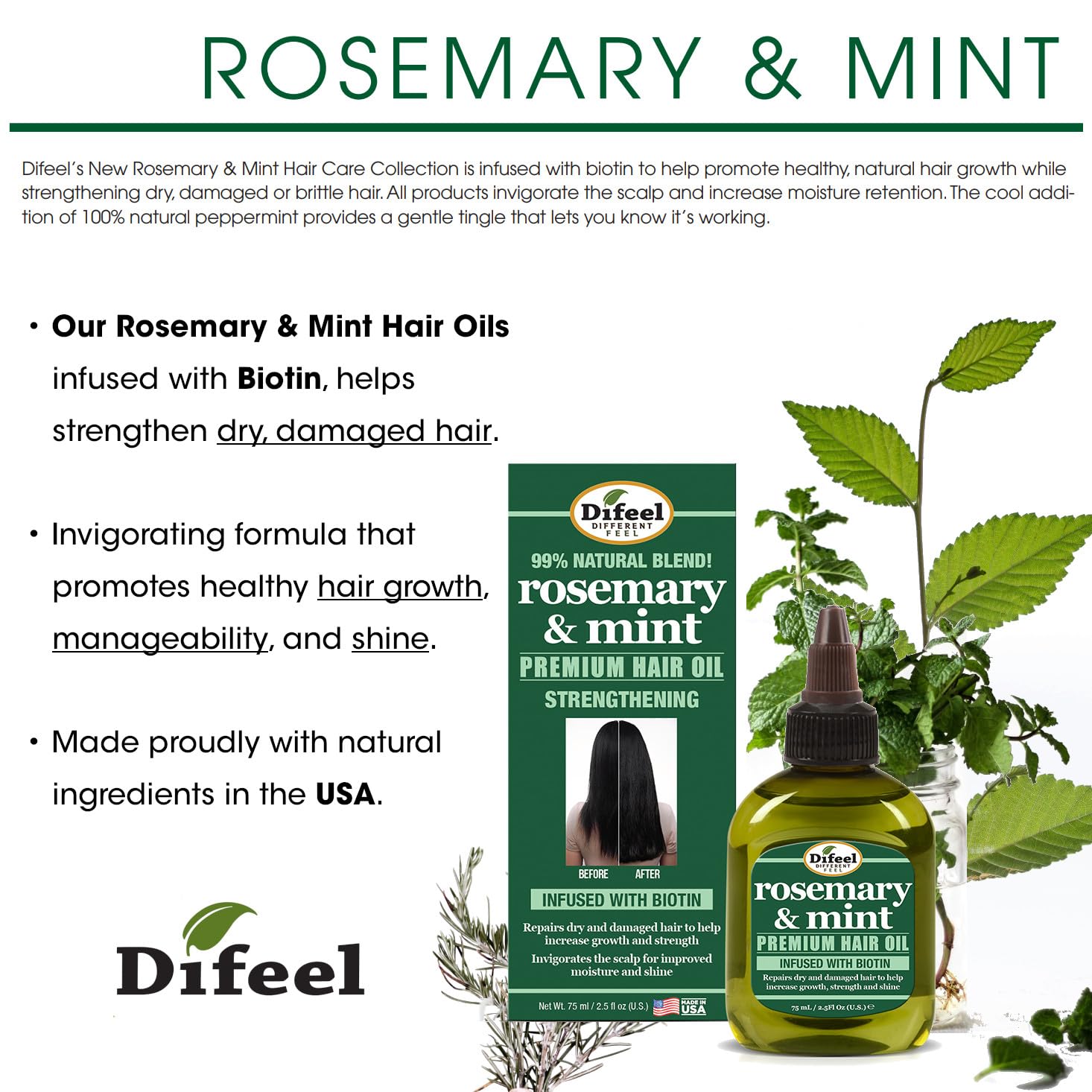 Difeel Rosemary & Mint Biotin 4-PC Box Set: Shampoo 12oz, Conditioner 12oz, Hair Mask 12oz, Hair Oil 2.5oz