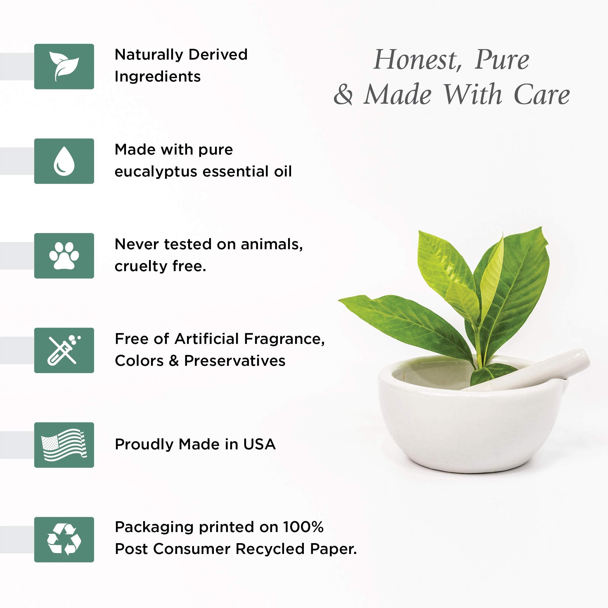 Sunaroma Eucalyptus with Tea Tree Oil & Ginger Soap (Pack of 1)