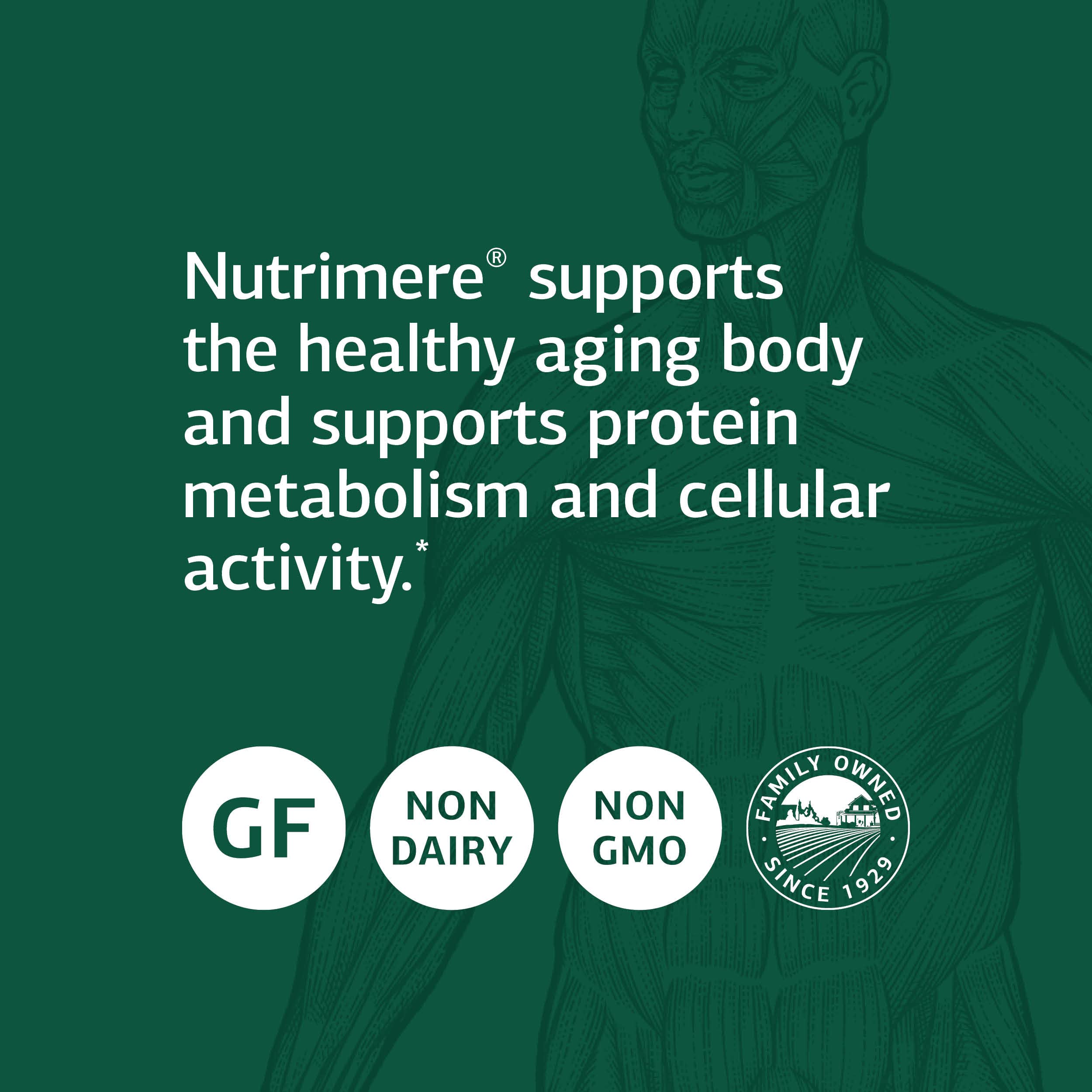 Standard Process Inc. Nutrimere - Whole Food Vitality and Metabolism with Green Lipped Mussel, Organic Carrot, Organic and Sweet Potato - Gluten Free - 90 Capsules