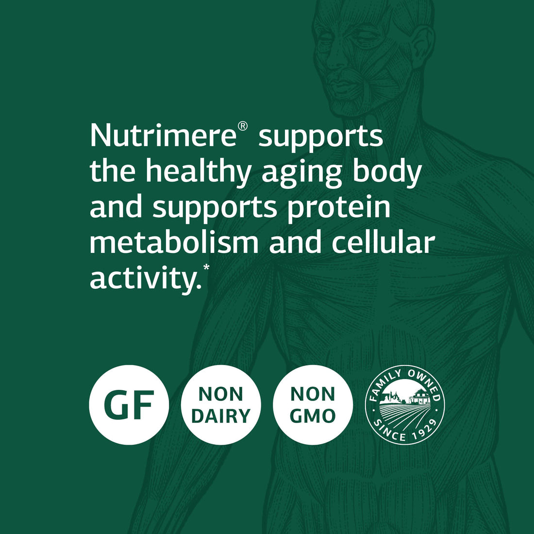 Standard Process Inc. Nutrimere - Whole Food Vitality and Metabolism with Green Lipped Mussel, Organic Carrot, Organic and Sweet Potato - Gluten Free - 90 Capsules