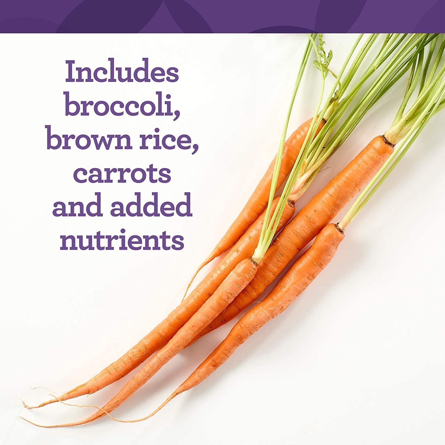 INNATE Response Formulas One Daily - Daily Herb-Free Multivitamin - Includes B Vitamins - Vegetarian, Non-GMO, and Kosher - Made Without 9 Food Allergens - 90 tablets (90 Servings)