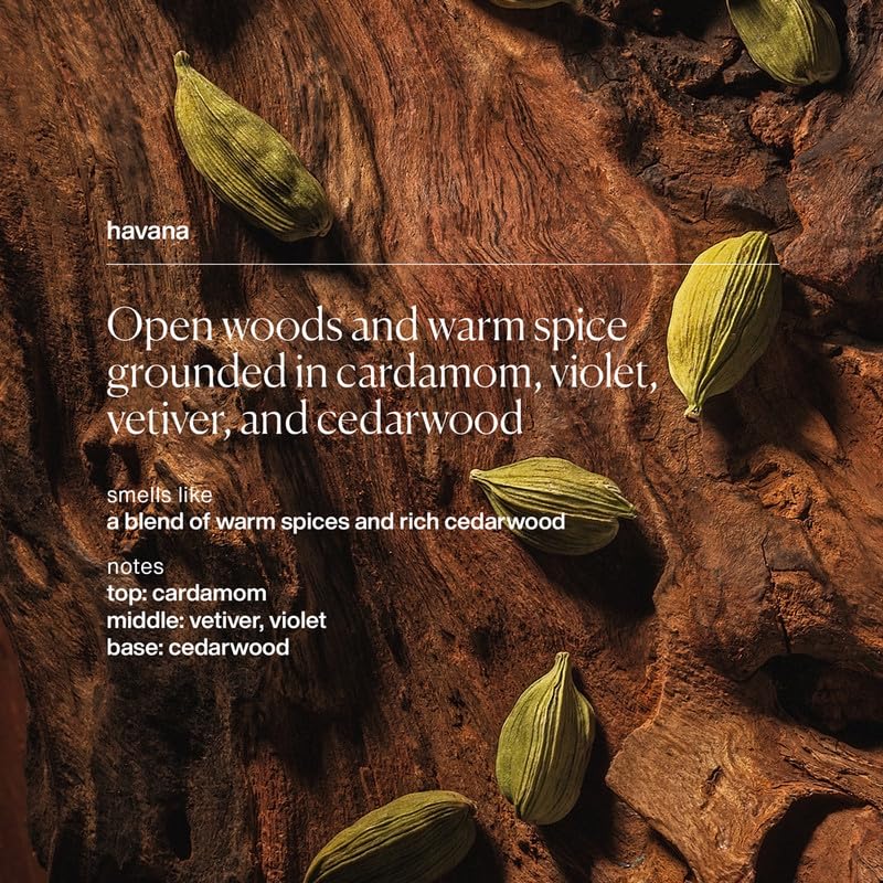 evolvetogether Plant-Powered Natural Luxury Deodorant for Women & Men | Neutralizes Odors, Soothes Skin | Body Heat Activated Fragrance | Vegan, Cruelty-Free | Made in USA (Havana)