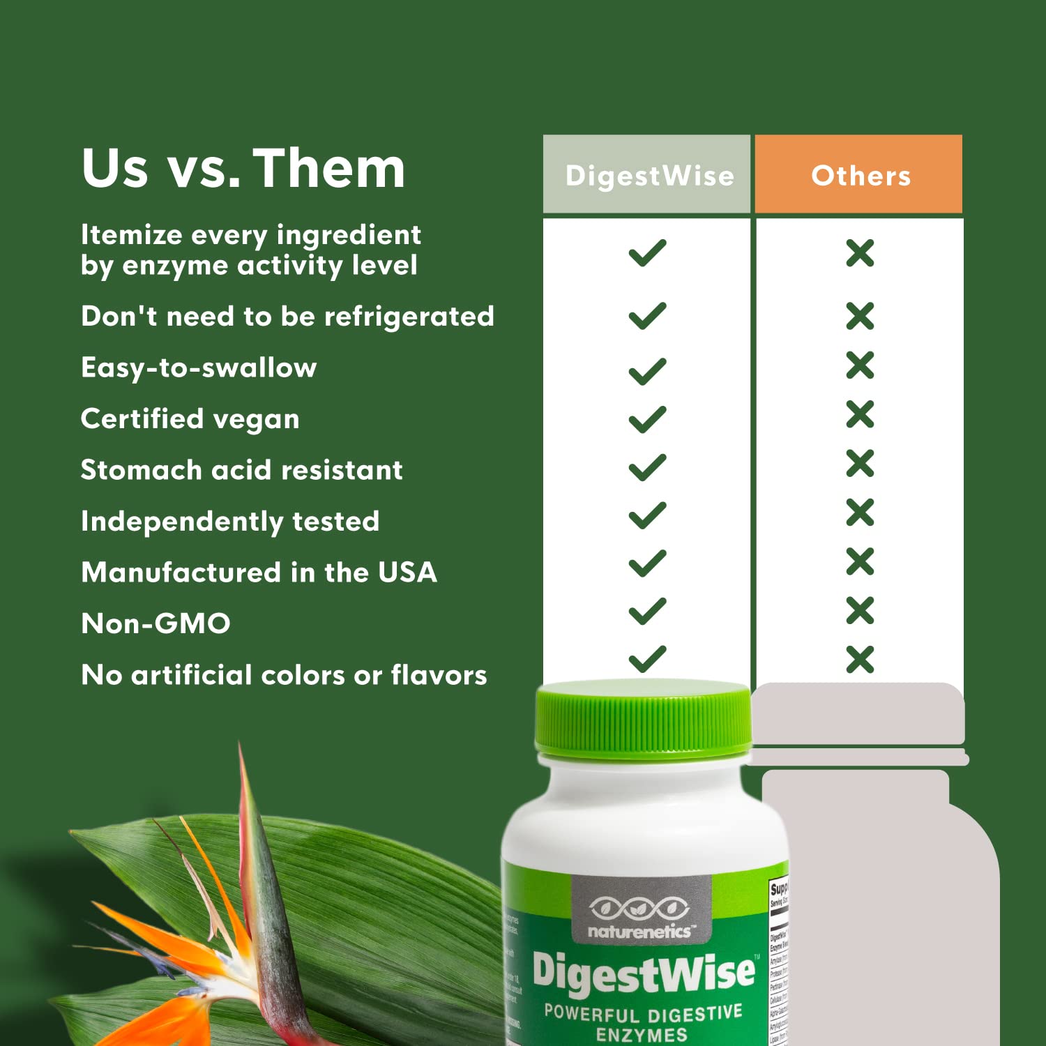 Naturenetics DigestWise Digestive Enzymes - 10 Powerful Vegan Enzymes to Support Digestion, Gas, Bloating & Constipation Relief - Keto Friendly - Lab Tested - 90 Capsules (1)