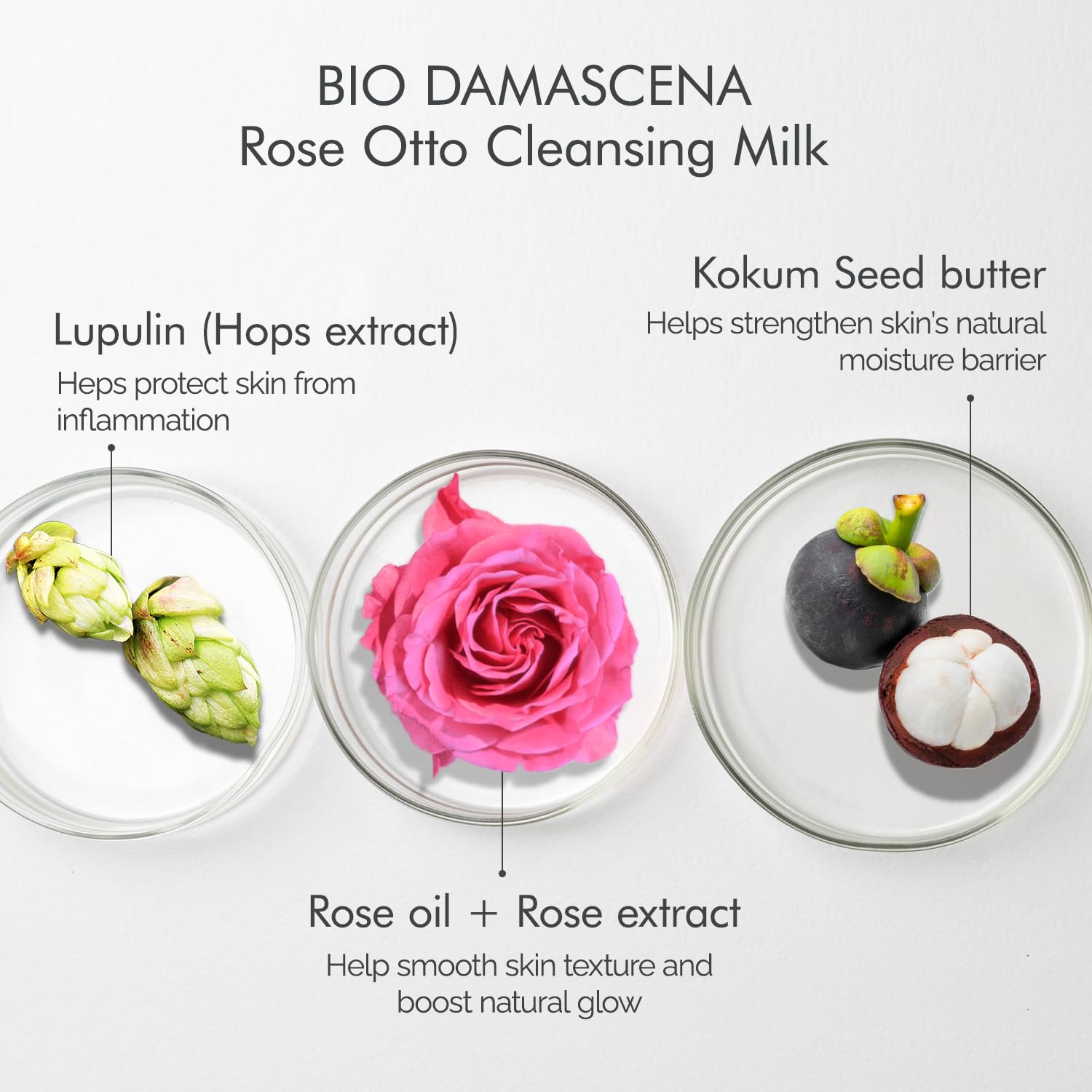 Organic Bio Damascena Rose Cleansing Milk