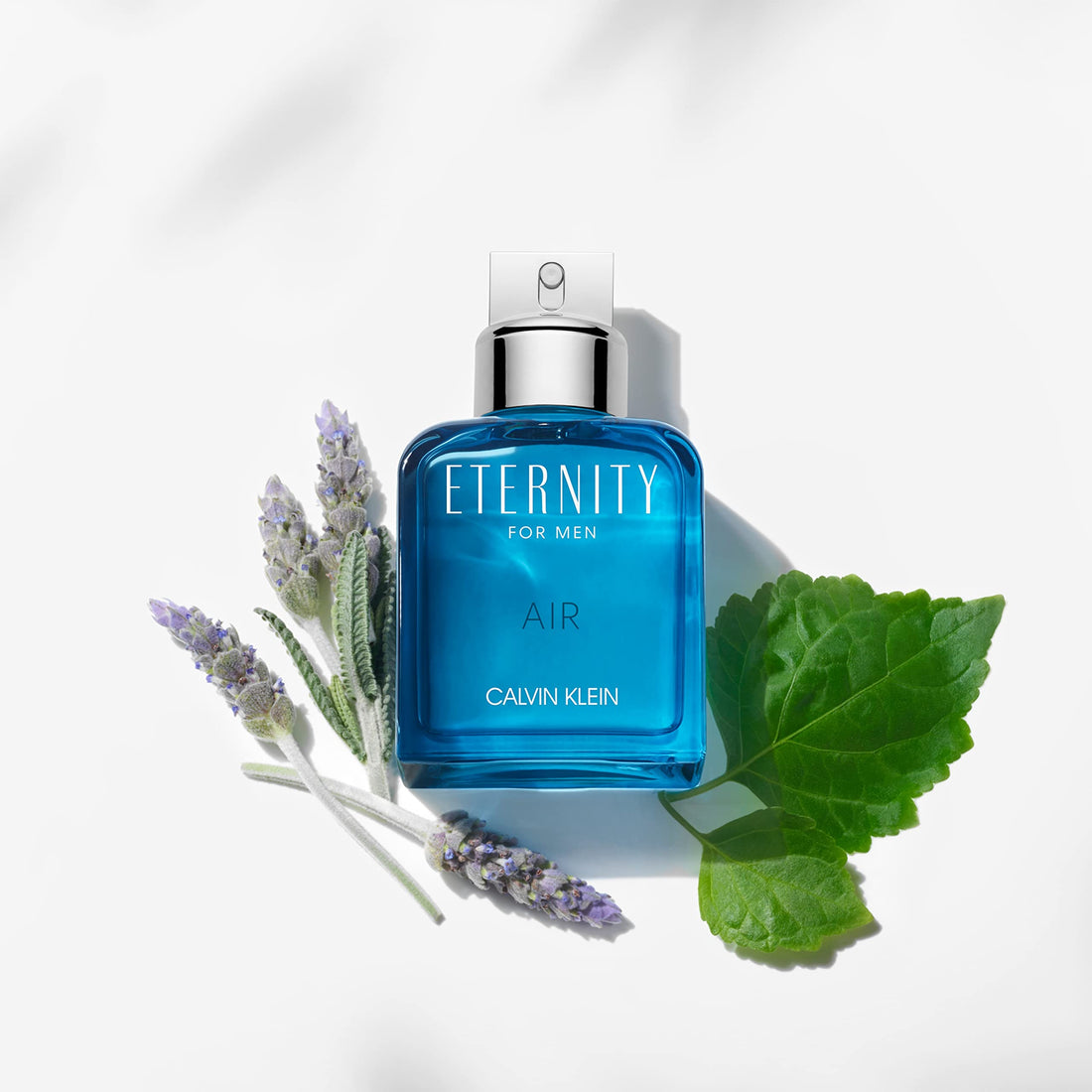 CK One EDT 100ml