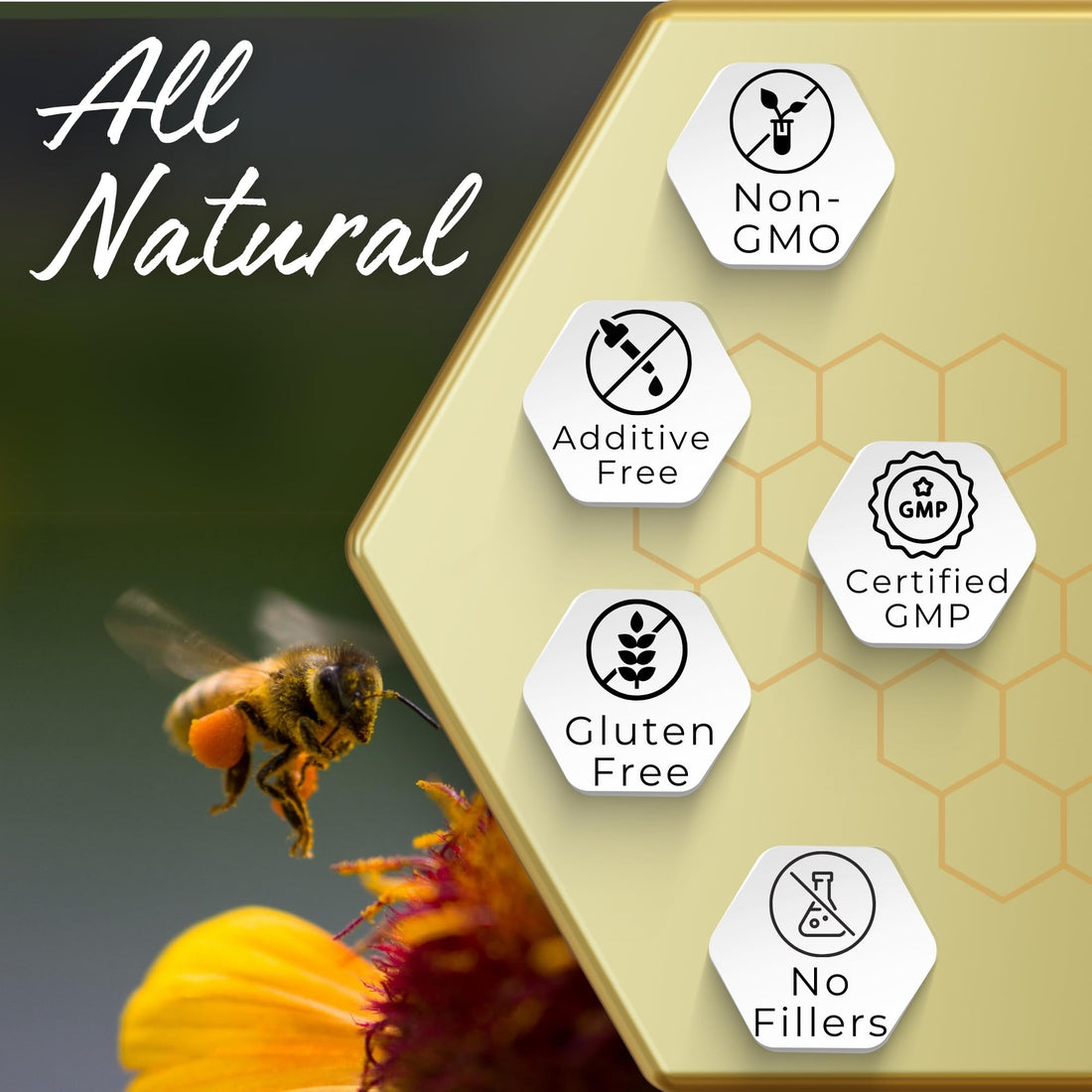 HONEYBEEZONE Royal Jelly Capsules – 500 mg Energy, Glowing Skin and Brain Booster Supplement | Non-GMO, Gluten-Free, 60 Easy-to-Swallow Veggie Capsules