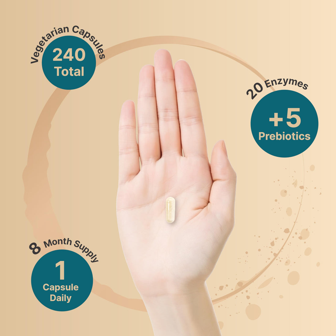 NatureBell Digestive Enzymes with Probiotics and Prebiotics, 240 Veggie Capsules | Gut & Digestive Health Support – 20 Enzyme & 5 Prebiotic Pancreatic Complex | Non-GMO, Vegan Friendly