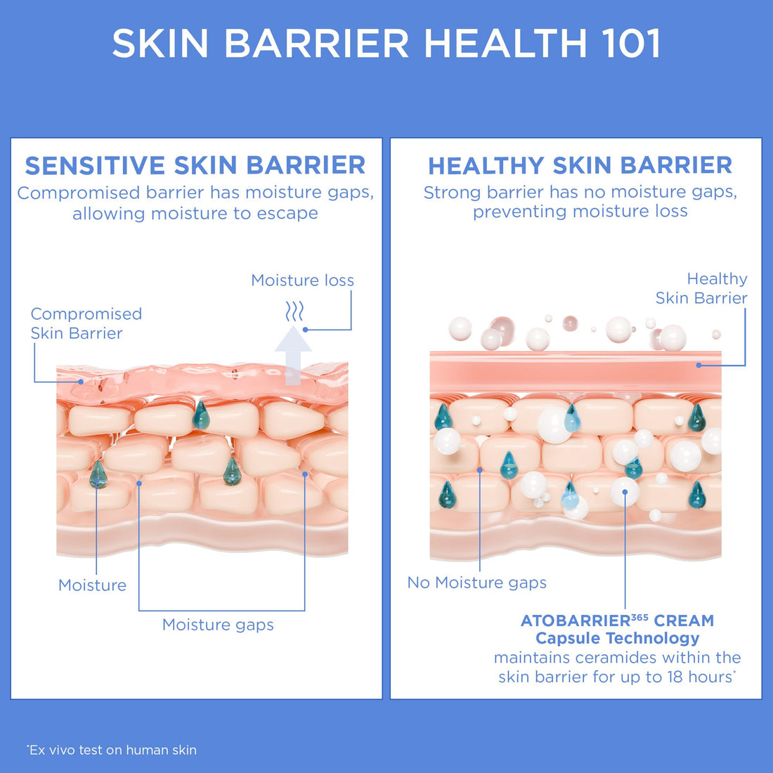 AESTURA ATOBARRIER365 Cream with Ceramides, Korean Face Moisturizer for Barrier Repair | 120H lasting Hydration, Ceramide Capsules, Dry & Sensitive Skin, Non-comedogenic, 80 mL / 2.70 fl.oz.