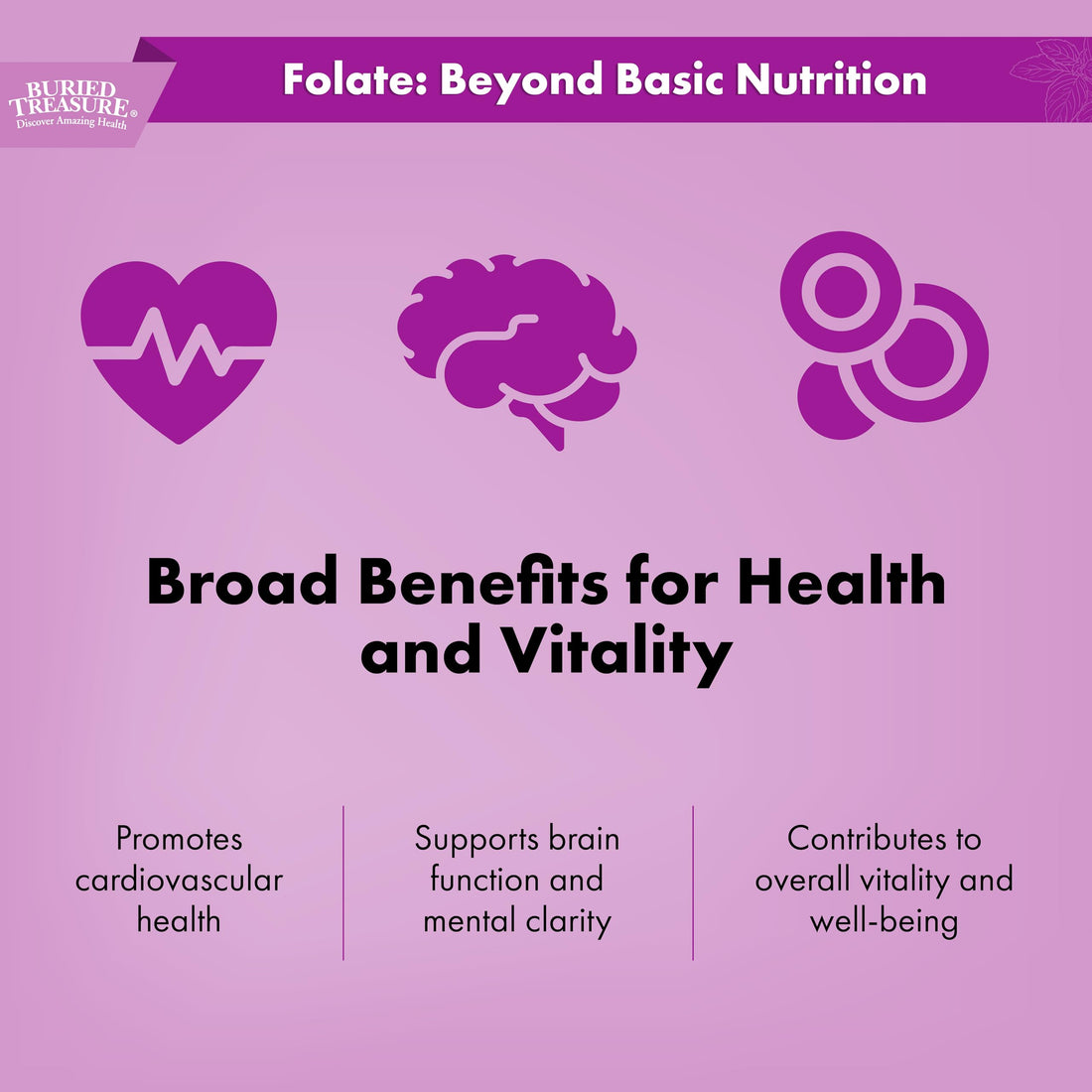 Buried Treasure Folate Drops - Methylated B-9 (Calcium L-5 Methyltetrahydrofolate), Supports Energy Production, Heart Health, and Pregnancy, 5-MTHF Supplement Vegan Safe, 120 Servings