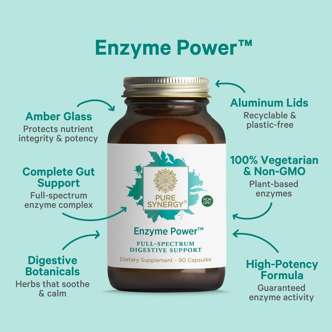 PURE SYNERGY Enzyme Power | Digestive Enzyme Supplement | Digestive Health Enzymes with Nattokinase, Bromelain, and Serrapeptase | for Digestive and Gut Health (90 Capsules)