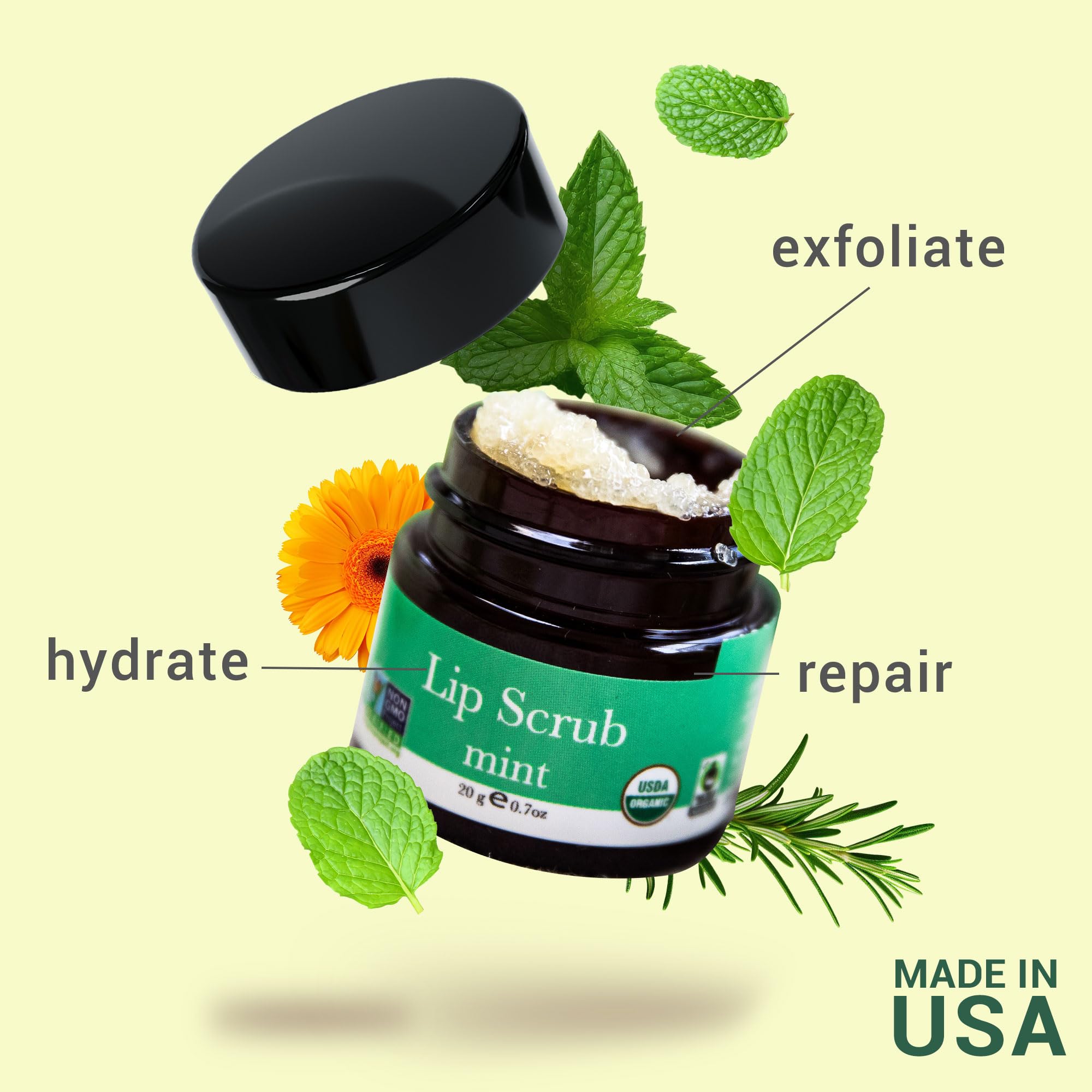 Lip Scrub, Mint Flavor - Organic Minty Exfoliating Sugar Scrubs, Exfoliator for Chapped Dry Lips, Moisturizes With Fresh, Lush Natural Ingredients; Best Before Balm; for Men and Women (1 Container)