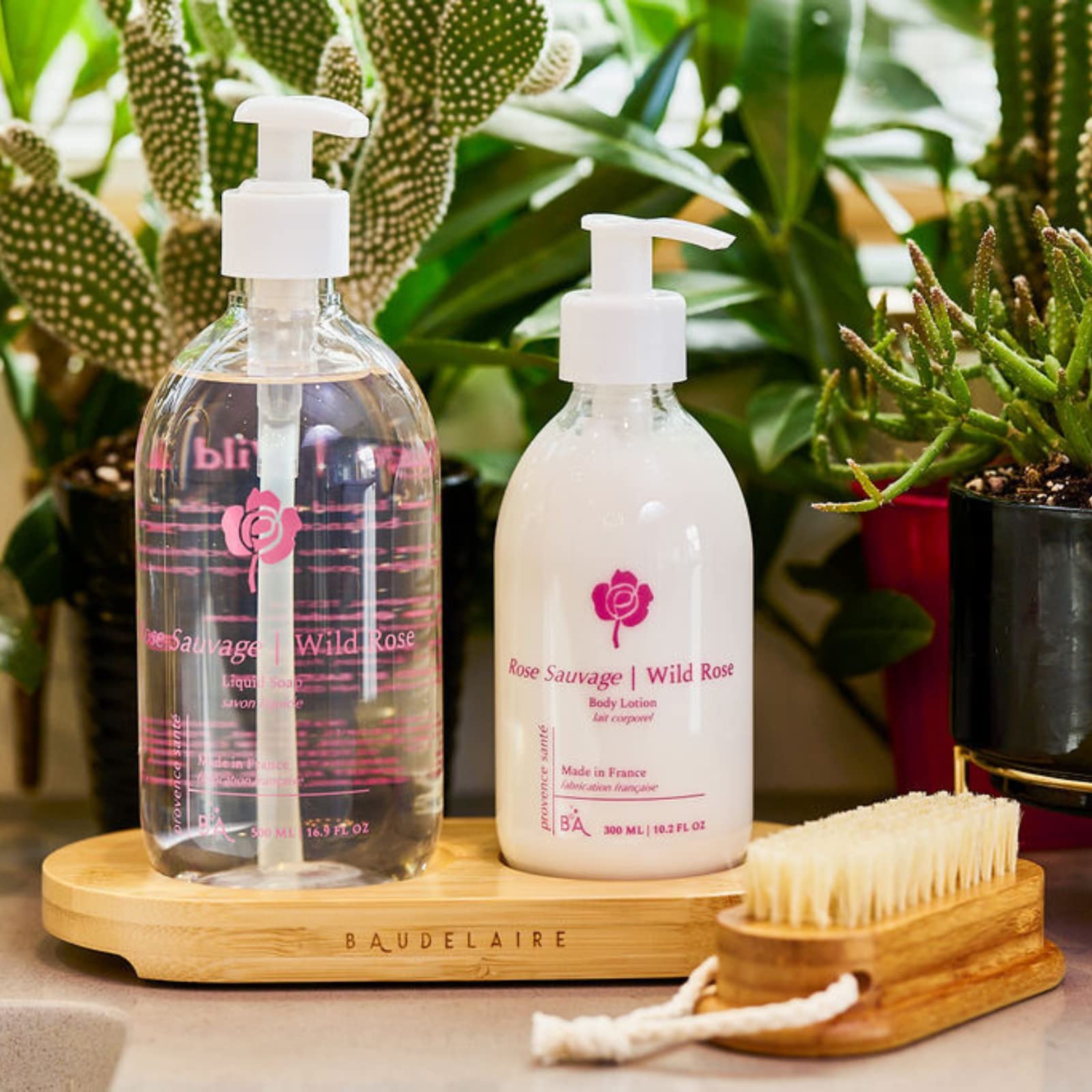 Provence Sante PS Body Lotion Wild Rose, 10.2 Ounces Bottle