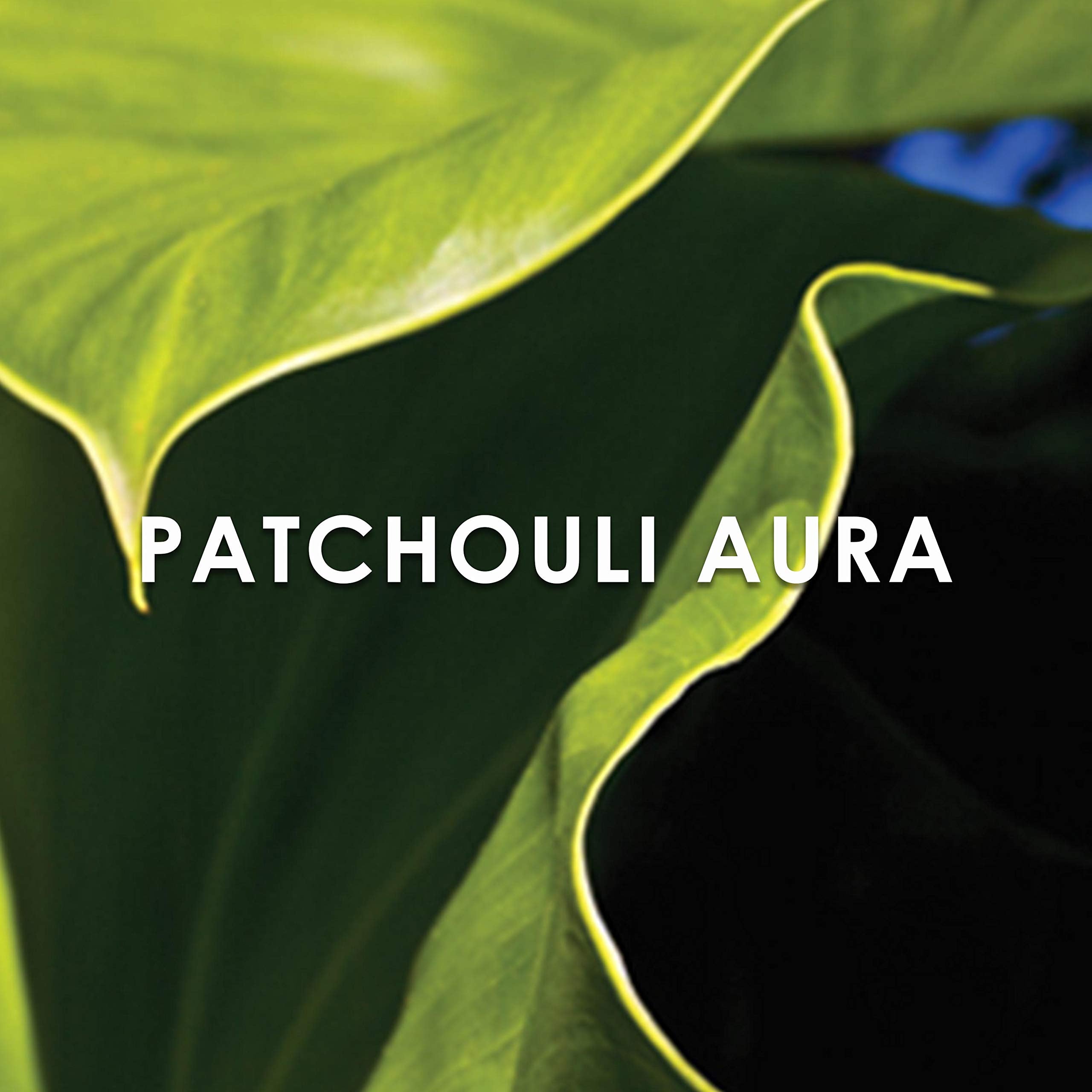 Britney Spears Believe Eau De Parfum Spray, 1.7-Ounce