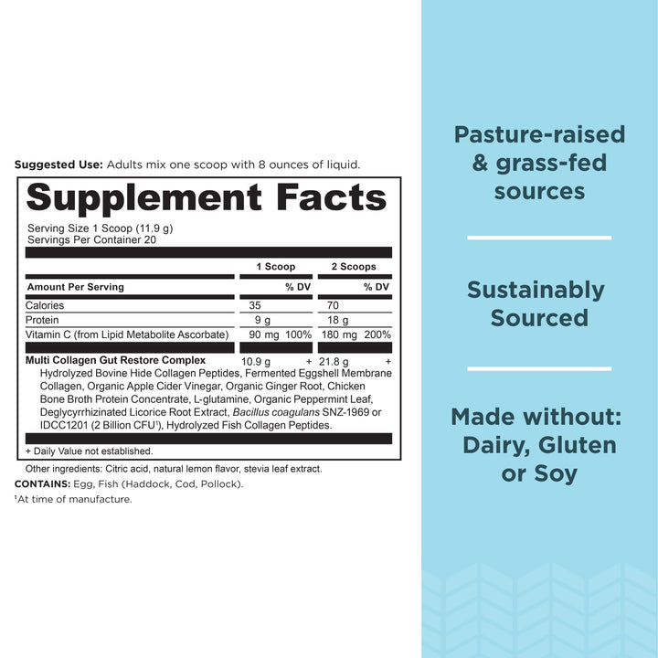 Ancient Nutrition Collagen Powder Protein, Multi Collagen Protein Gut Restore, Lemon Ginger, Apple Cider Vinegar, Vitamin C, Hydrolyzed Collagen Peptides for Healthy Hair and Nails, 8.4 oz