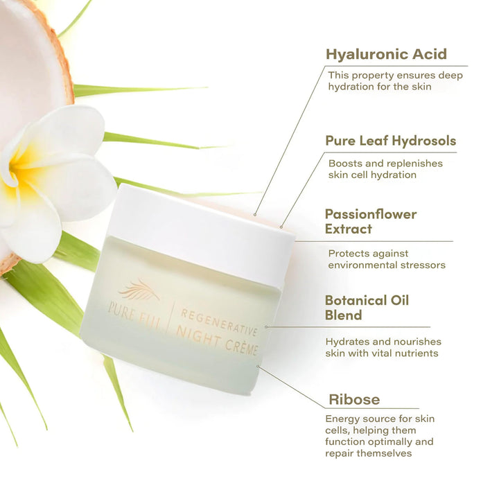 PURE FIJI Regenerative Night Cream Anti Aging Moisturizer, Repair & Hydrate Recovery Cream Night Moisturizer For Face, Natural Formula for All Skin Types, (1.7oz/50ml)