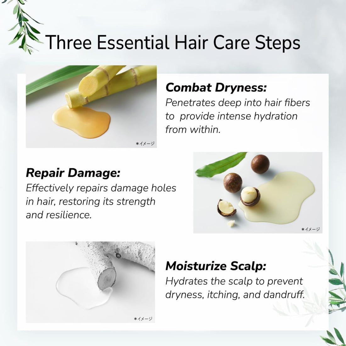 Botanist Moisturizing Hair Conditioner Treatment, Natural & Organic Japanese Haircare for Dry & Frizzy Hair, Botanical Scalp Treatment with Pump, Grapefruit & Sage, Scalp Cleanse, 17.2 Oz / 490g
