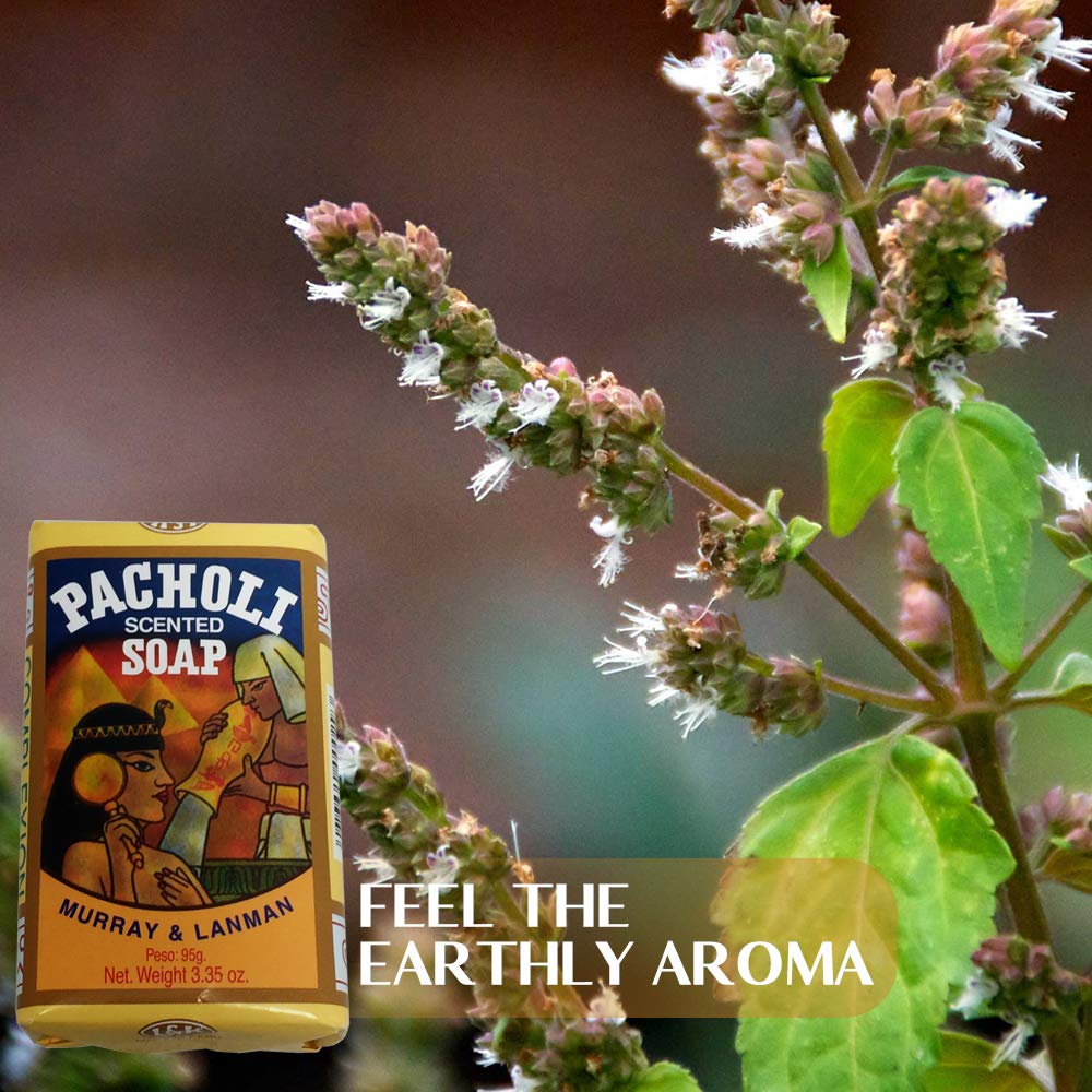 Pacholi Scented Soap by Murray & Lanman [ALL SEALED] by Murray & Lanman