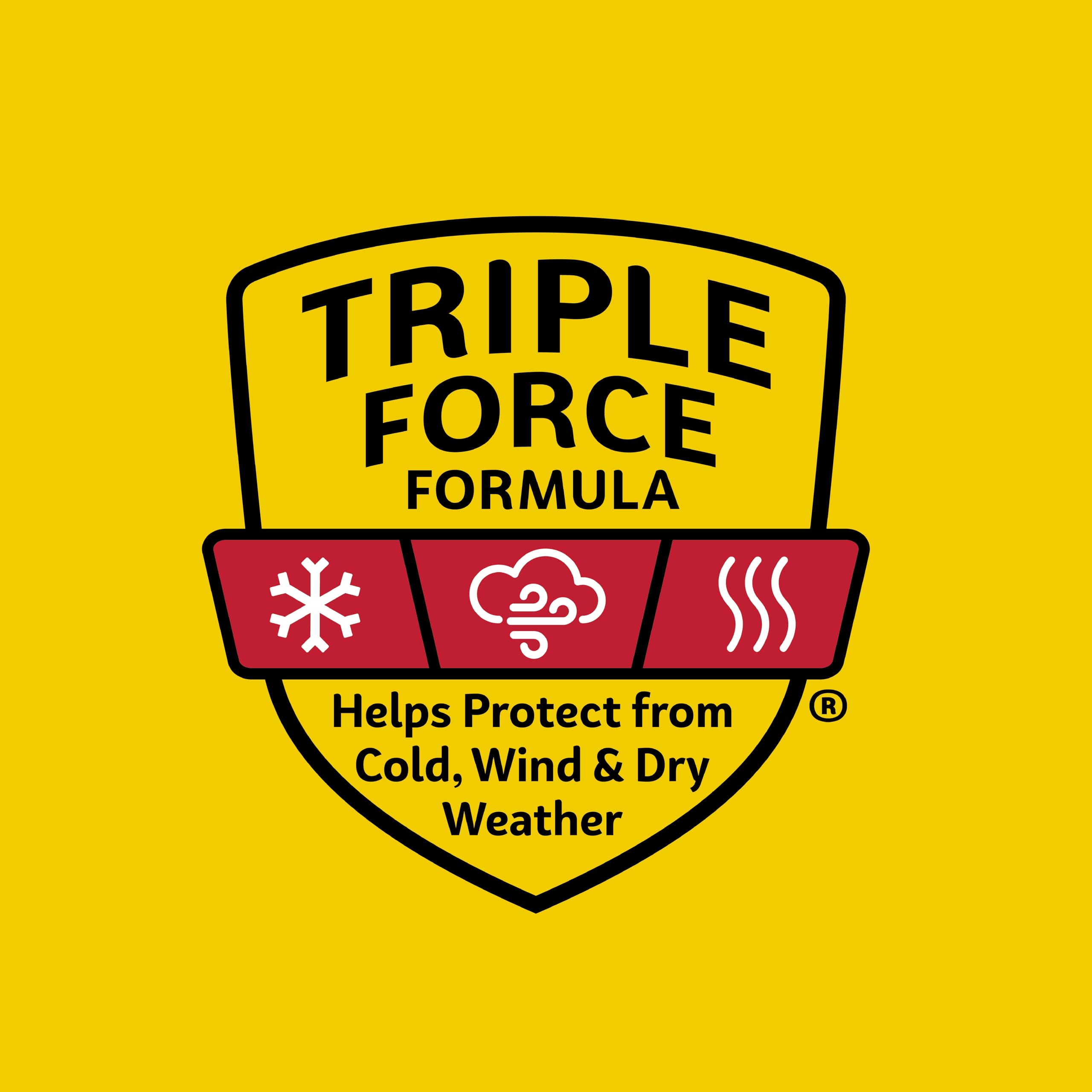 Carmex Classic Medicated Lip Balm Pack, Lip Moisturizer for Chapped Lips, 9-Count Variety Pack Bag (2 Tubes, 7 Sticks)