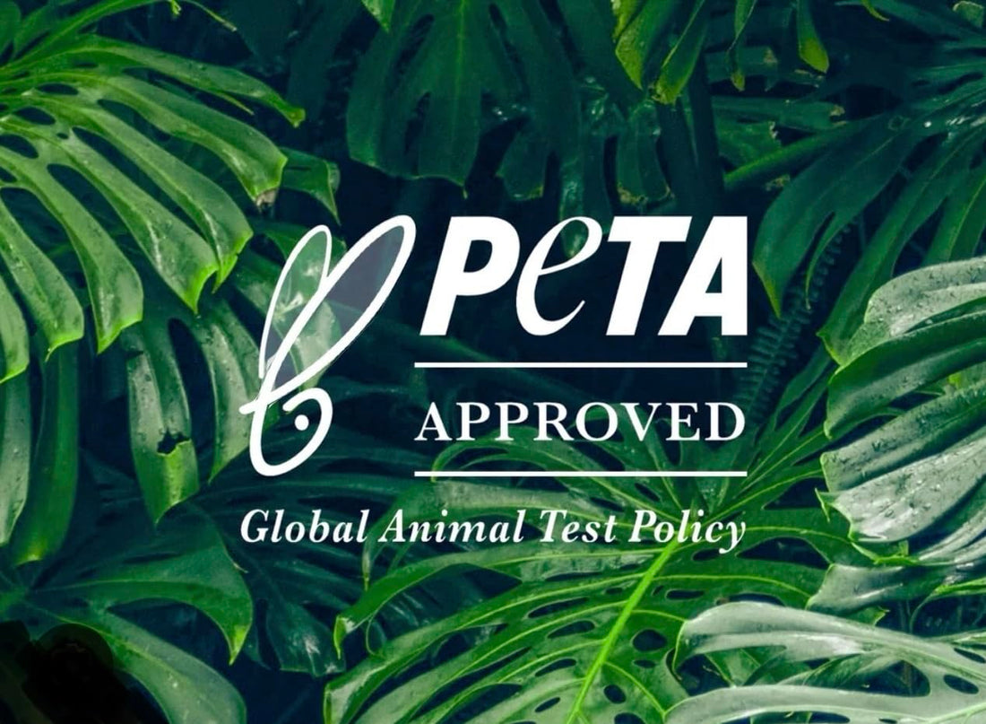 Artifa Natural Deodorant, Aluminum Free for Women and Men with Probiotics, Coconut oil, Shea Butter 2.65 oz (75 g)