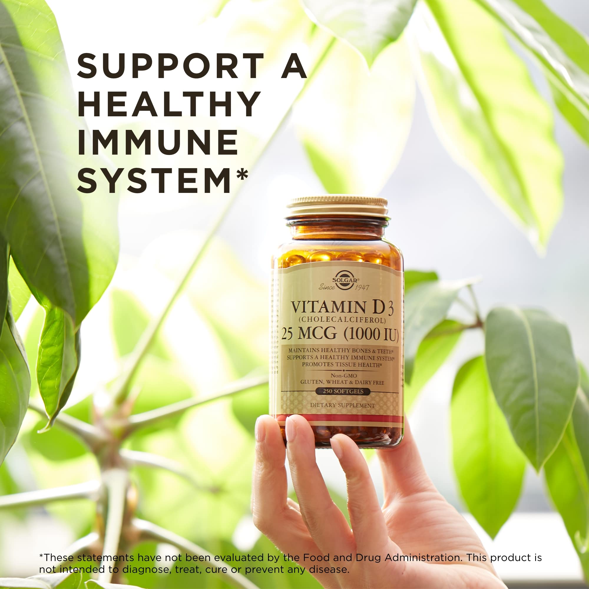 Solgar Vitamin D3 (Cholecalciferol) 25 MCG (1000 IU), 250 Softgels - Helps Maintain Healthy Bones & Teeth - Immune System Support - Non-GMO, Gluten Free, Dairy Free - 250 Servings