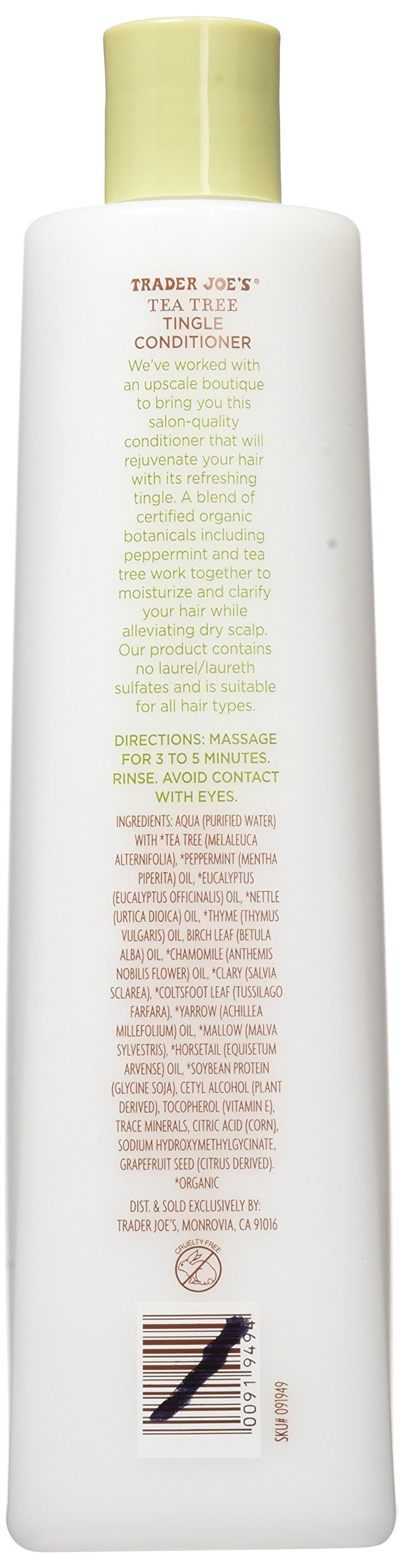 Trader Joe's Tea Tree Tingle Conditioner with Peppermint and Eucalyptus (Pack of 2)