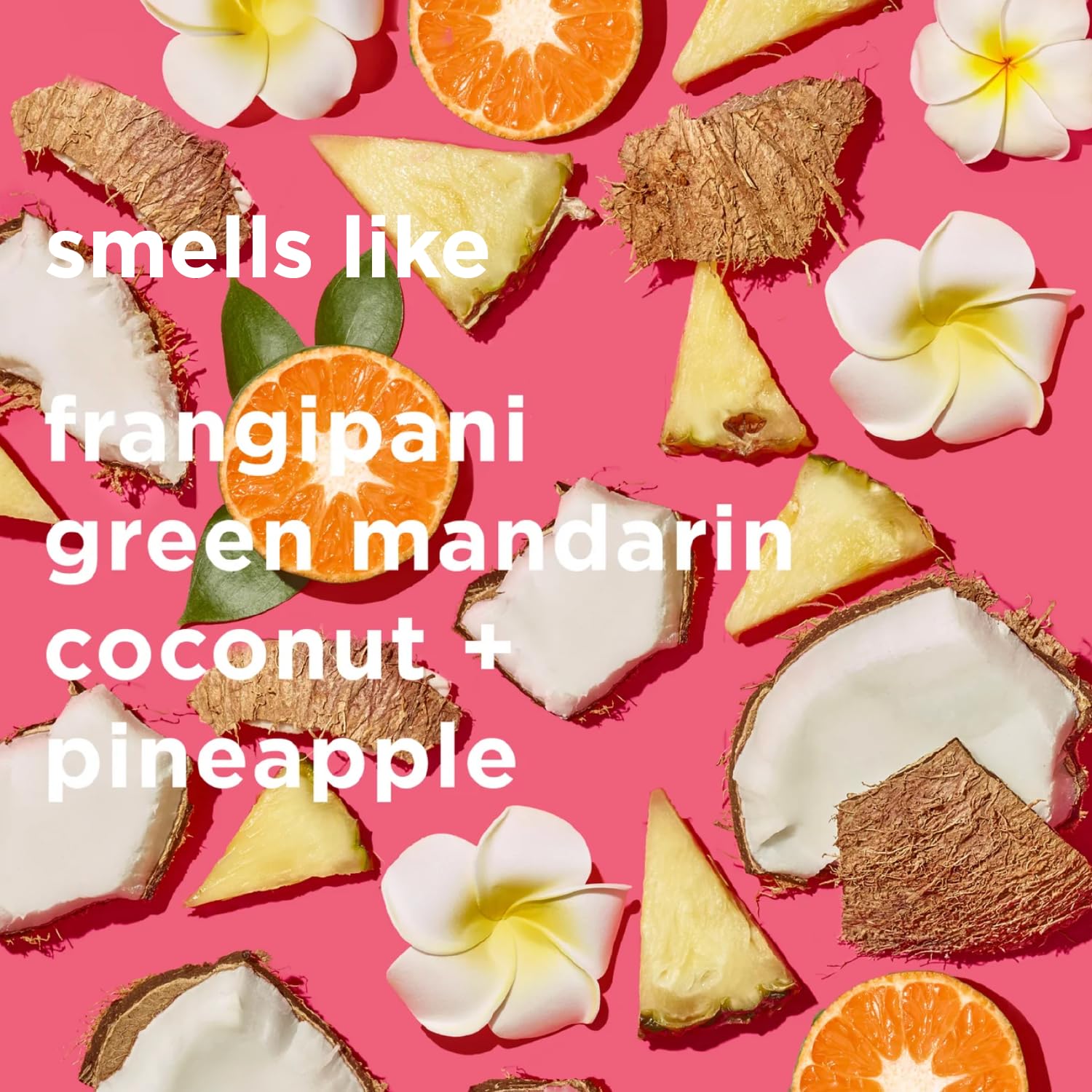 By Rosie Jane Everyday Body Oil (Missy) - Frangipani & Green Mandarin Scented Body Care with Sunflower, Olive & Rosehip Seed Oil to Hydrate and Nourish Dry Skin (5 fl oz)