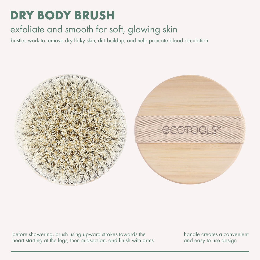 EcoTools Dry Body Brush, For Post Shower & Bath Skincare Routine, Removes Dirt and Promotes Blood Circulation, 1 Count