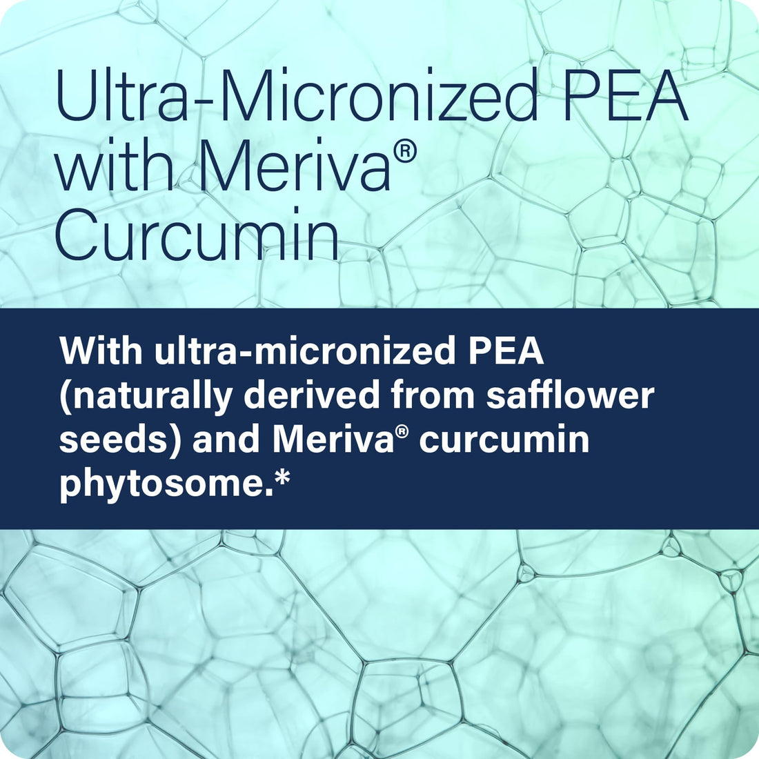Enzyme Science (Pea+, 120 Capsules All-Natural Meriva Curcumin Supplement for Physiological Support Helps Support Nervous, Immune, & Muscular Systems