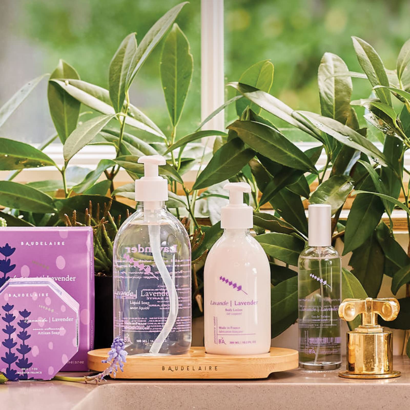 Provence Sante PS Body Lotion Lavender, 10.2 Ounces Bottle