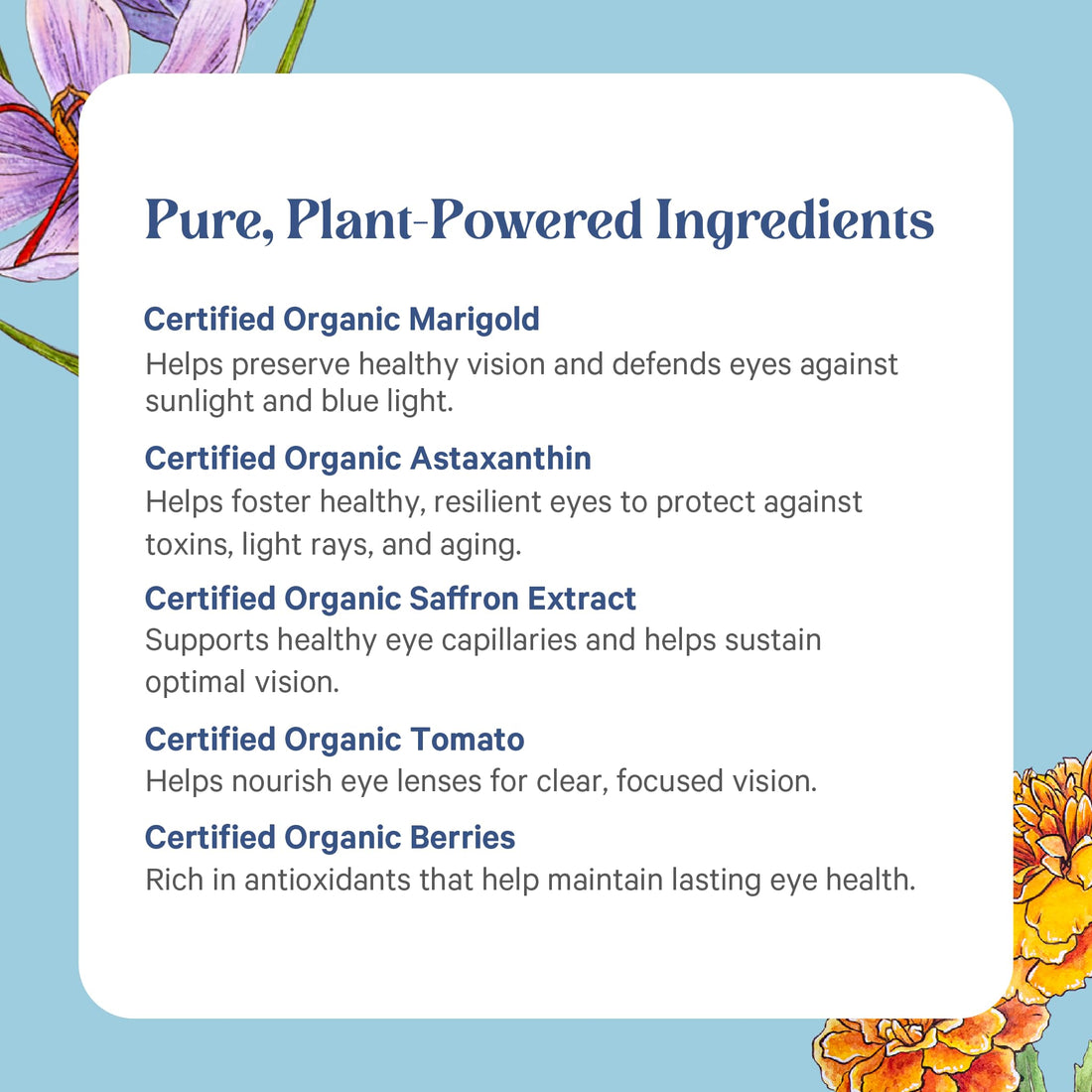 PURE SYNERGY Eye Protector | 100% Natural, Vegan Eye Health Supplement | with Organic Astaxanthin, Lutein, & Zeaxanthin | for Healthy Vision (60 Capsules)