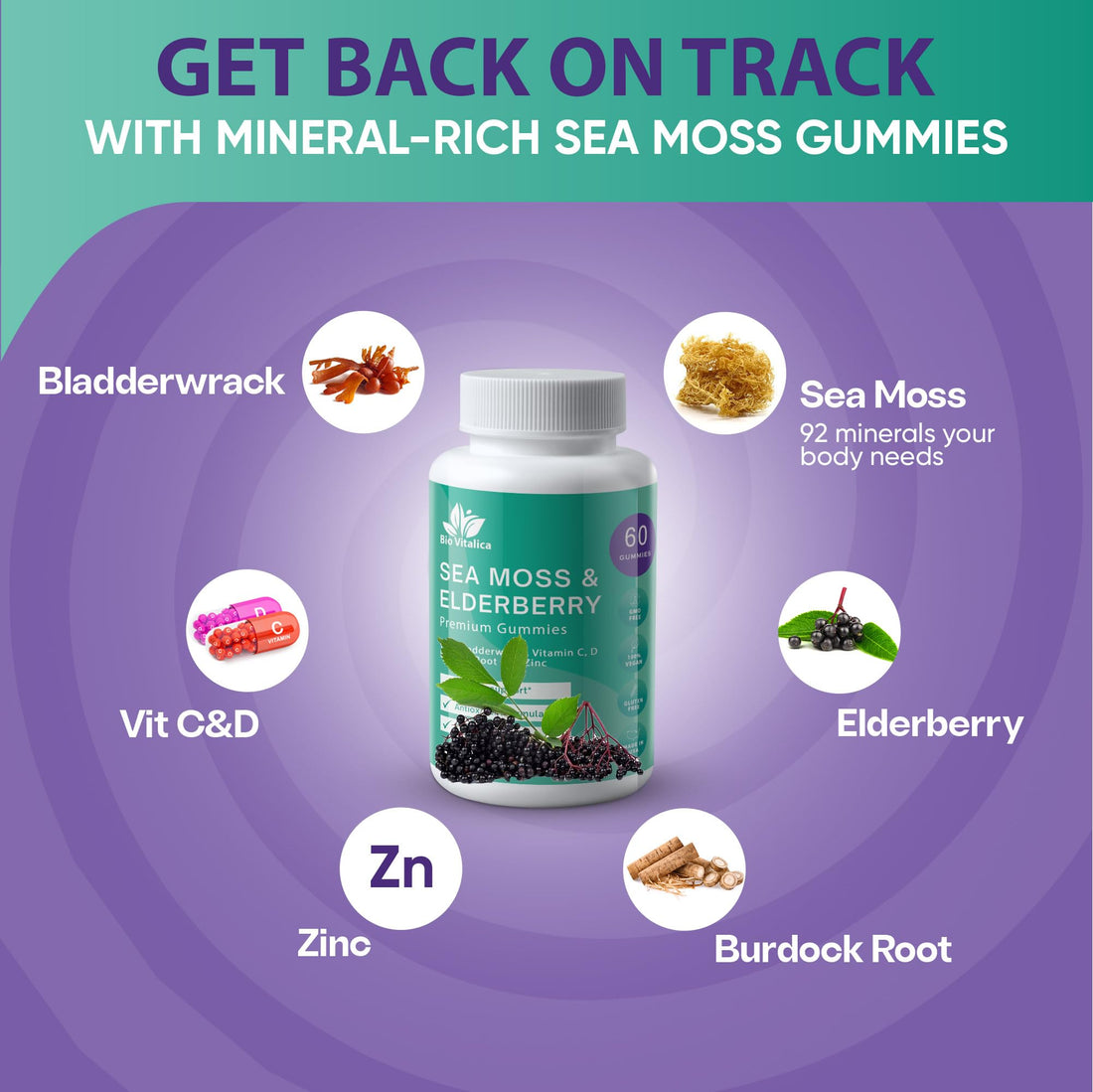 BIO VITALICA Sea Moss Gummies Elderberry BioVitalica - Vitamin C D + Zinc - Irish Seamoss Vegan Gummy with Sea Moss Gel & Powder for Immunity, Detox - for Adults and Kids