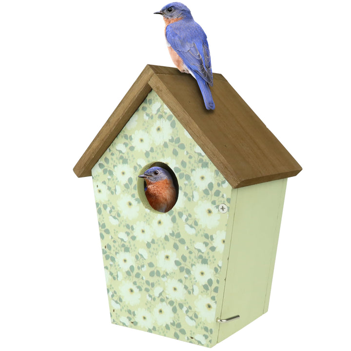 Wild Wings Decorative Bluebird House Olive Blossoms, Green