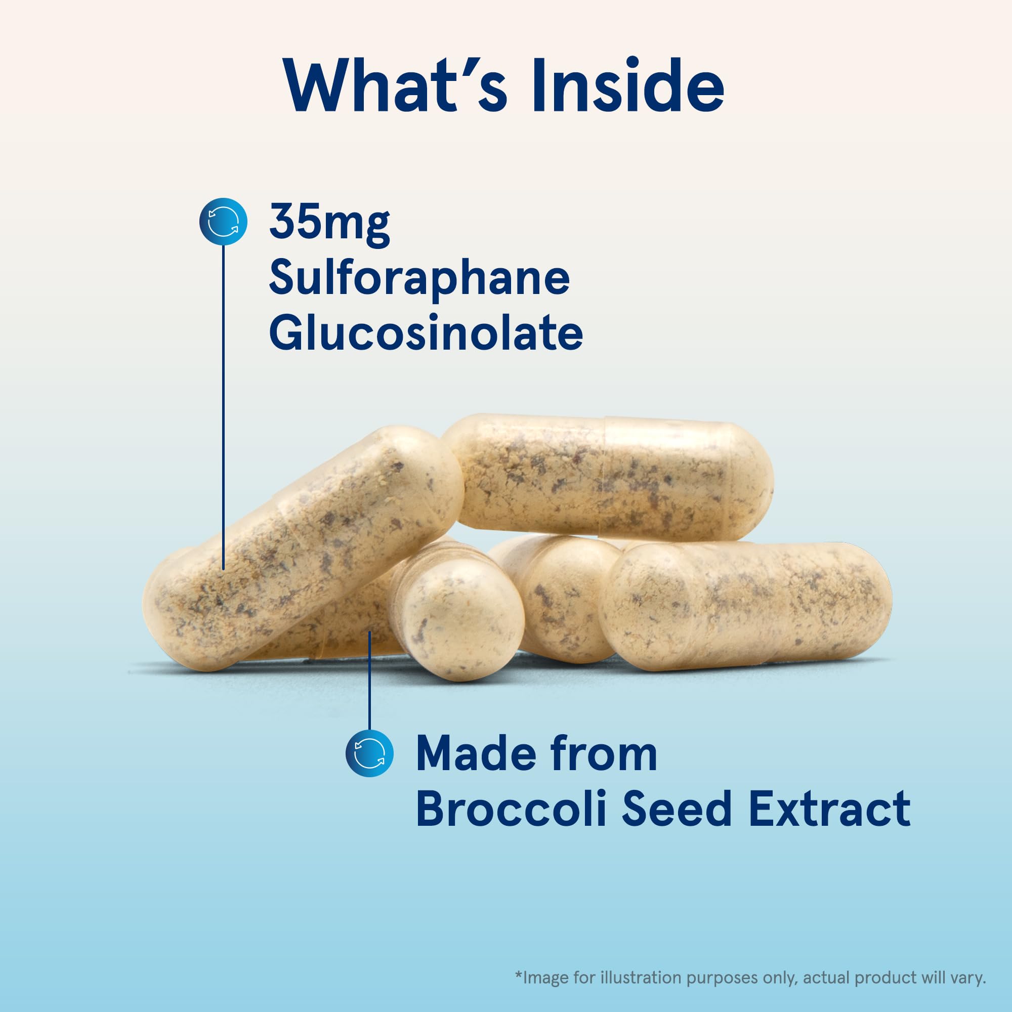 Jarrow Formulas BroccoMax Sulforaphane Generator 35mg w/Sulforaphane Glucosinolate & Myrosinase, Dietary Supplement for Liver Health Support, 60 Delayed Release Veggie Caps, 30 Day Supply(Pack of 12)
