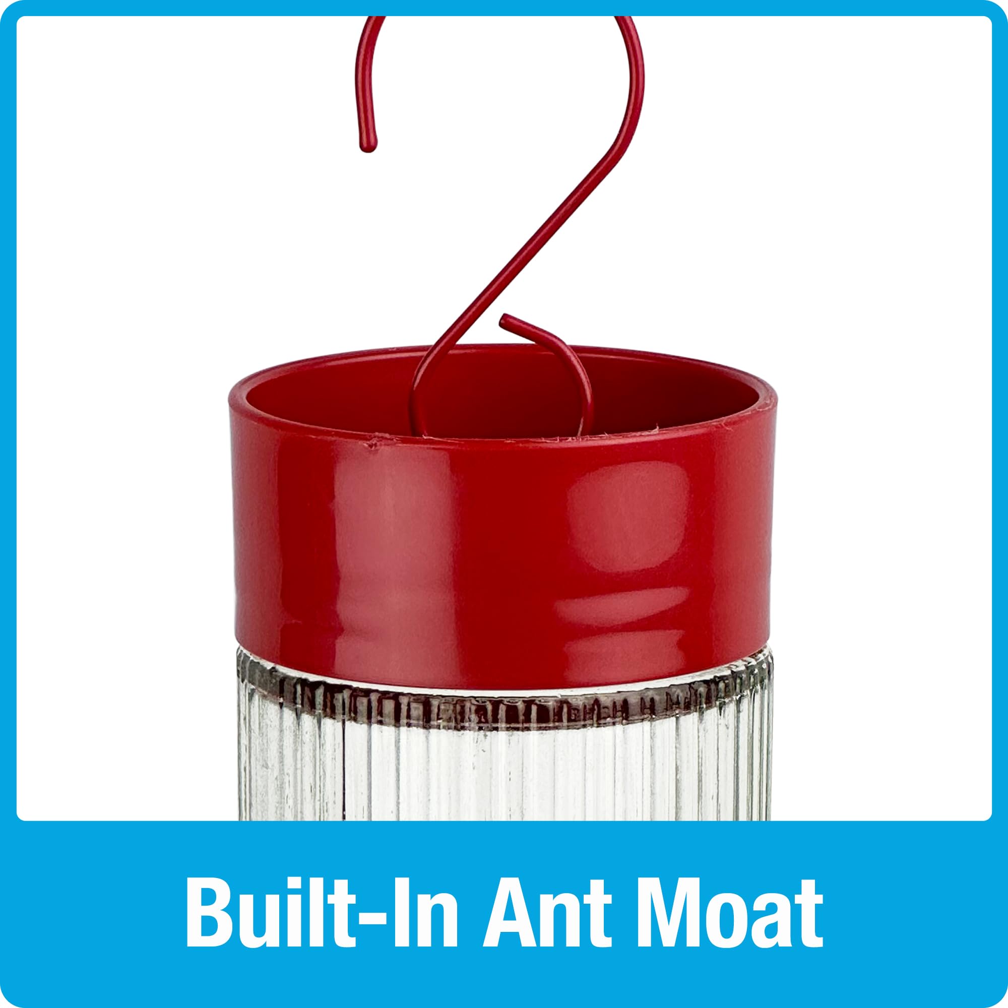 Nature's Way Hanging Glass Hummingbird Feeder for Outdoor Décor, 28 Ounce Capacity Nectar Feeder, Ant Moat, 7 Easy to Clean Flexible Ports, Red