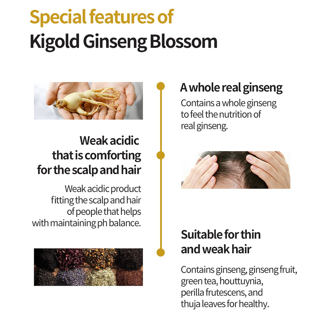 Daeng Gi Meo Ri- Ki Gold Ginseng Blossom 2 Shampoo Set, Real Ginseng Inside, Herbal Shampoo, Hair Growth, Preventing Hair Loss, 24.01 fl oz each