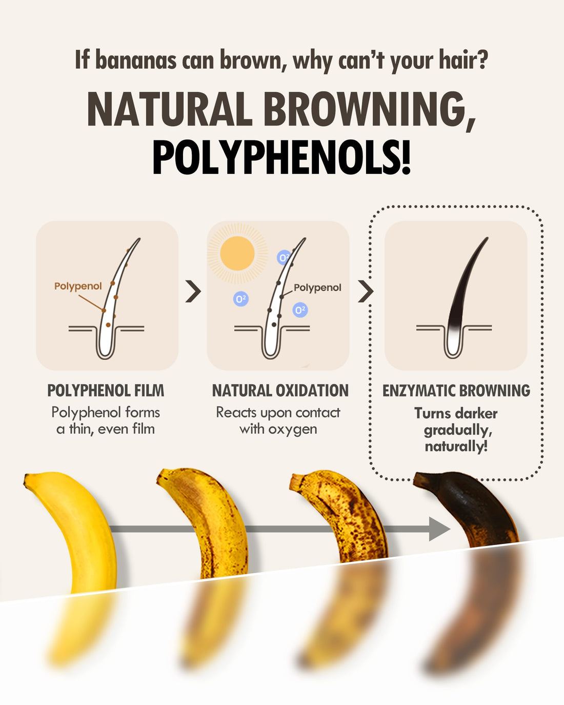 MODA MODA Zero Gray Black Hair Shampoo (10.58 Oz) | Natural Darkening Color for Hair & Scalp | Age-Defying, Volumizing Formula that Reduces Hair Breakage