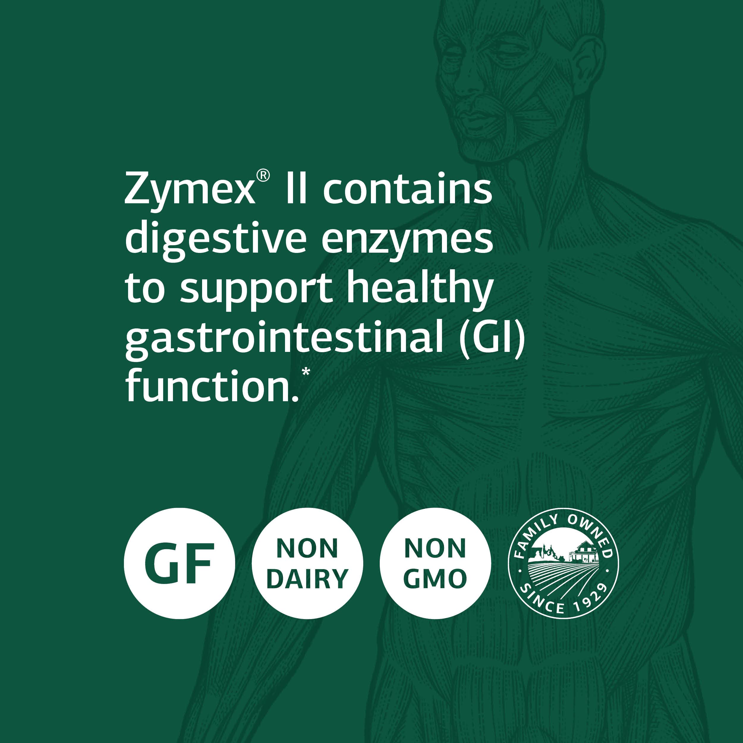 Standard Process Inc. Zymex II - Whole Food Digestion and Digestive Health with Digestion Enzymes, Cellulase, Papain, Amylase, Lipase, Almond and Bromelain - Gluten Free - 90 Capsules